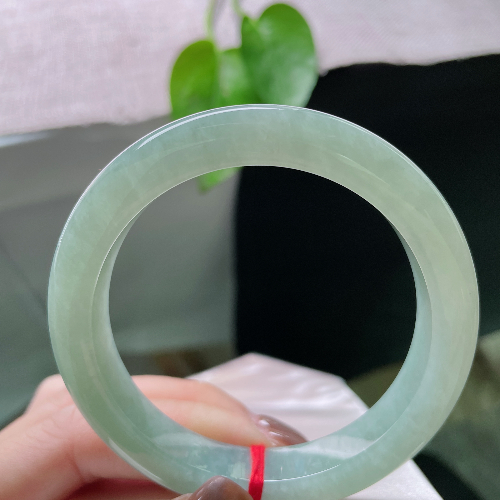 56.2/10.9/9.1，浅绿底正圈，水润，清秀迷人，种老，底子干净，ss51029a