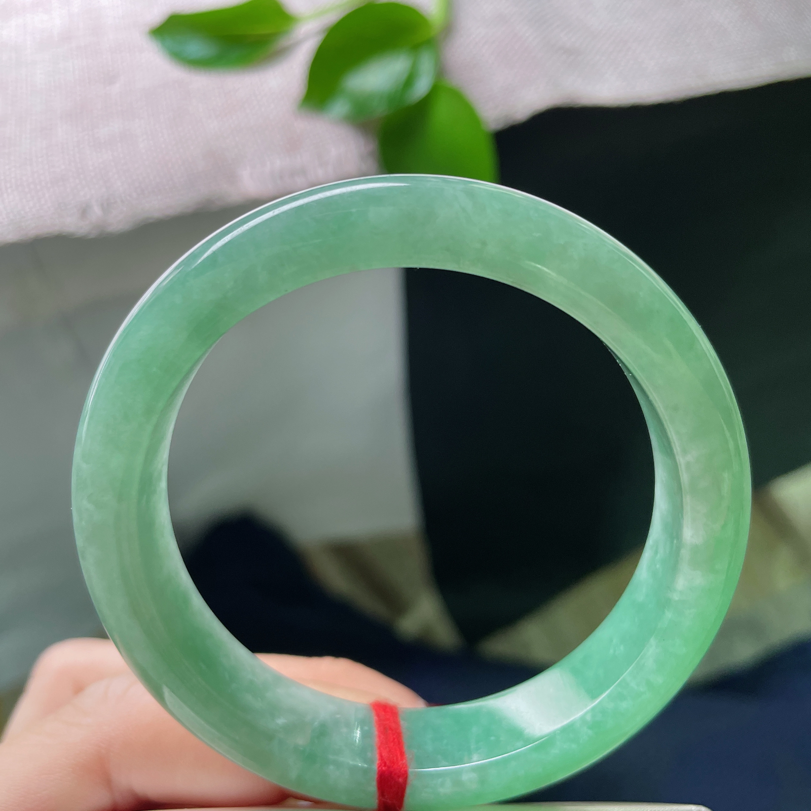 55.8/12.4/8.4，绿底正圈，颜色鲜艳夺目，是深潭、是青山、是凝固的春天。晶体纹..