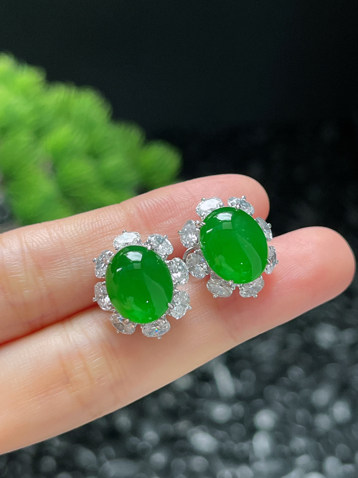 18k金翡翠冰满绿耳钉