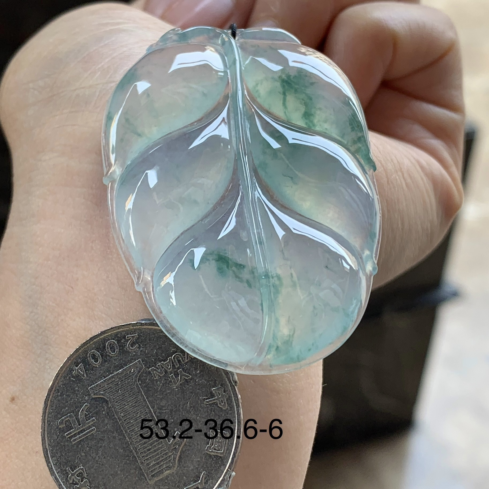 冰飘花叶子^_^冰透