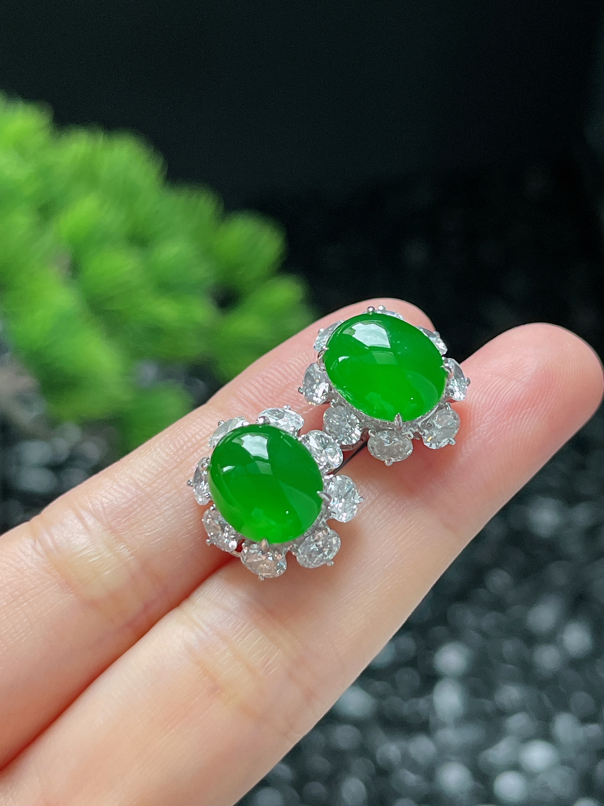 18k金翡翠冰满绿耳钉