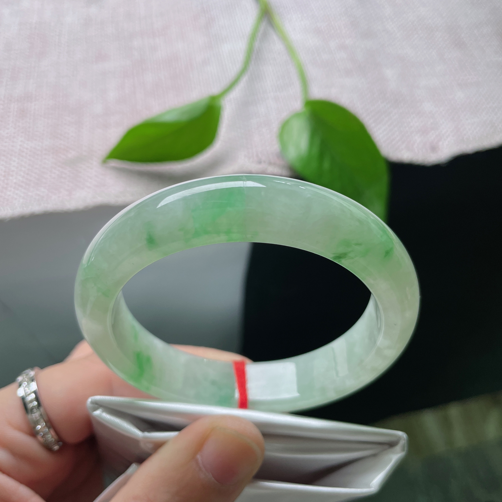 53.8/12.6/8，飘阳绿正圈，种老，晶莹剔透，翠色娇艳欲滴，晶体纹..