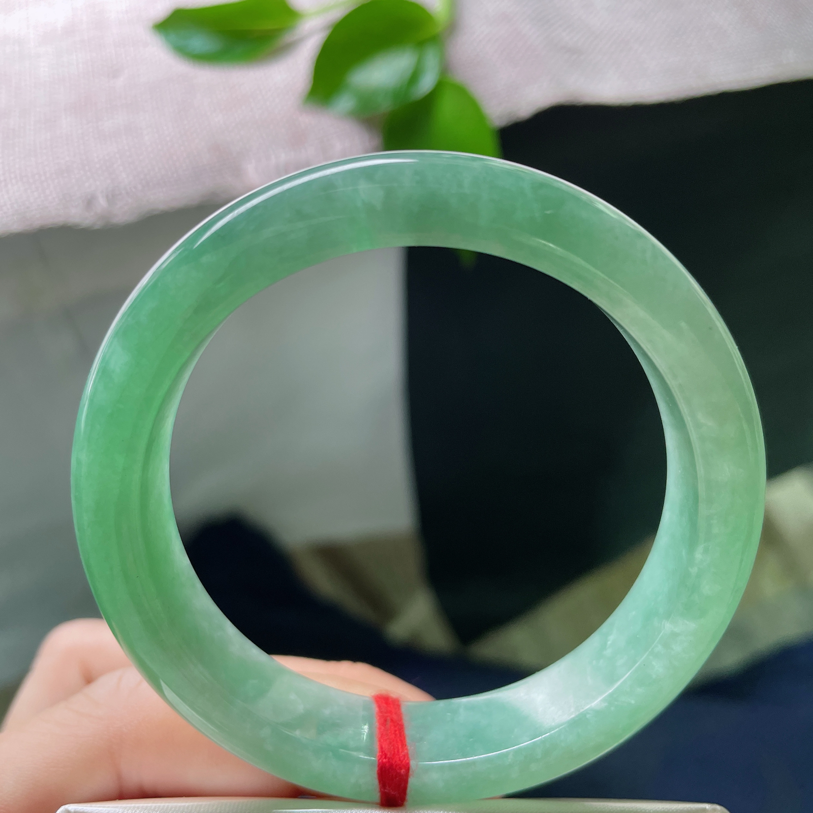 55.8/12.4/8.4，绿底正圈，颜色鲜艳夺目，是深潭、是青山、是凝固的春天。晶体纹..