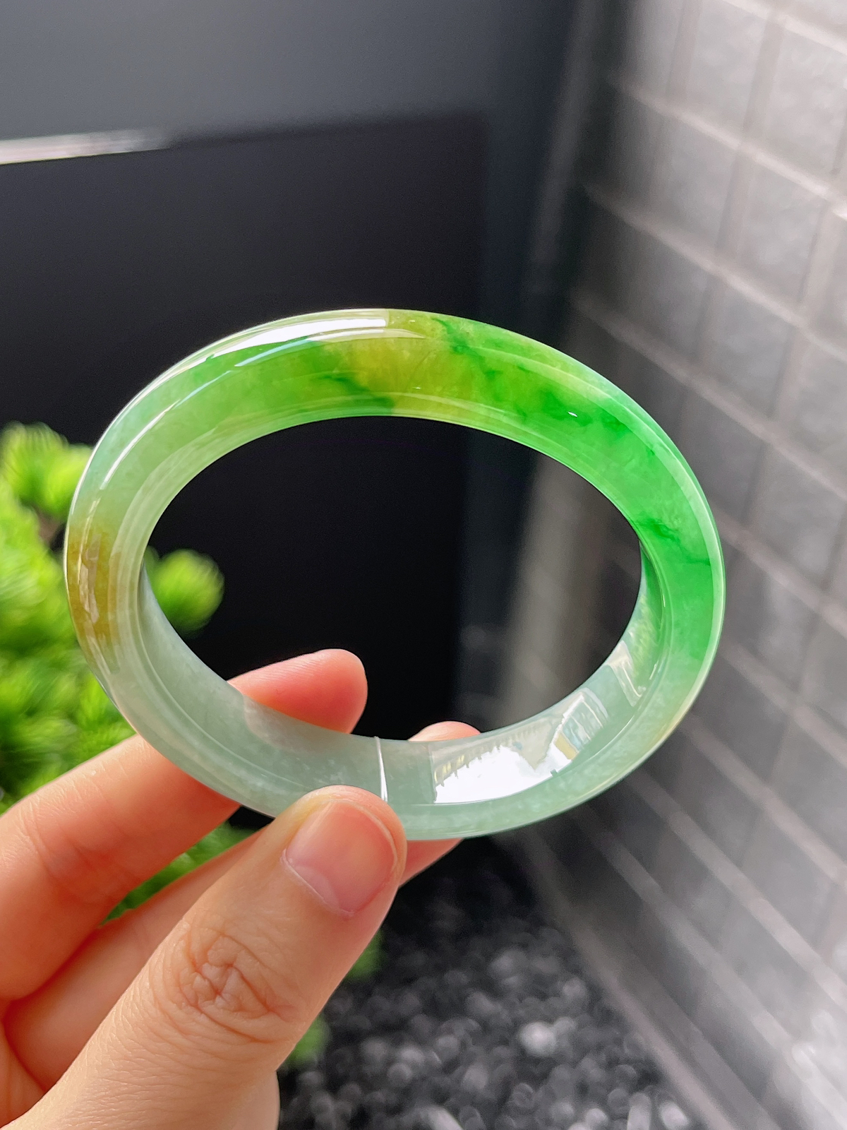 贵妃镯55.1圈口，翡翠冰糯种黄加绿手镯