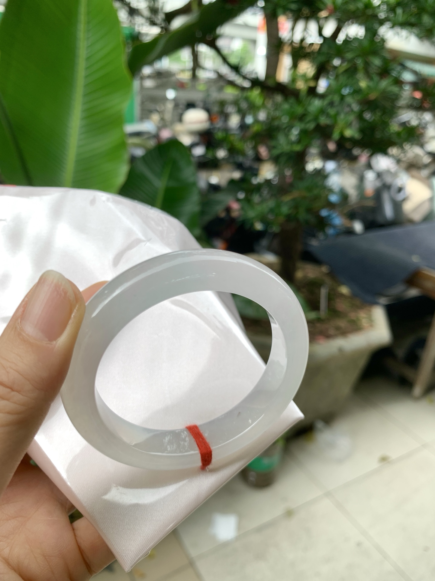 k032-2冰正圈：53.3-12-8.9冰透起光