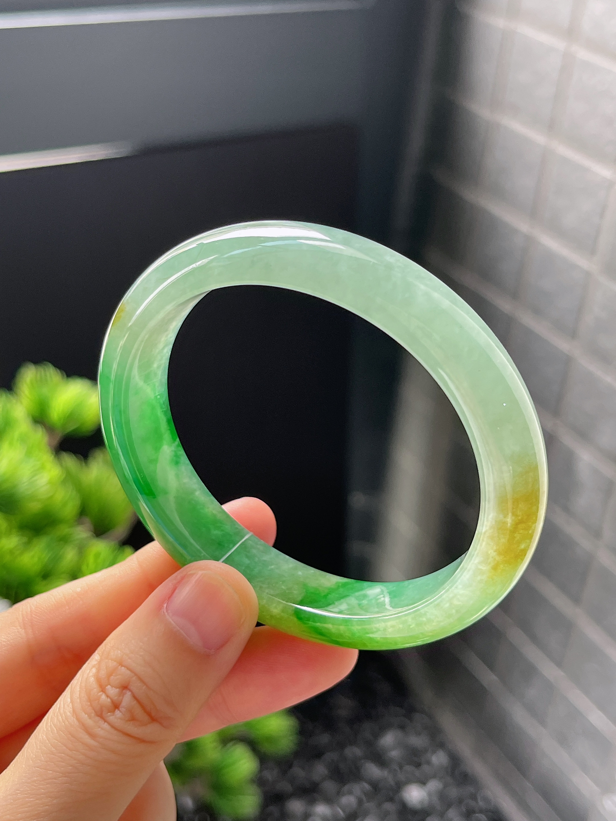 贵妃镯55.1圈口，翡翠冰糯种黄加绿手镯