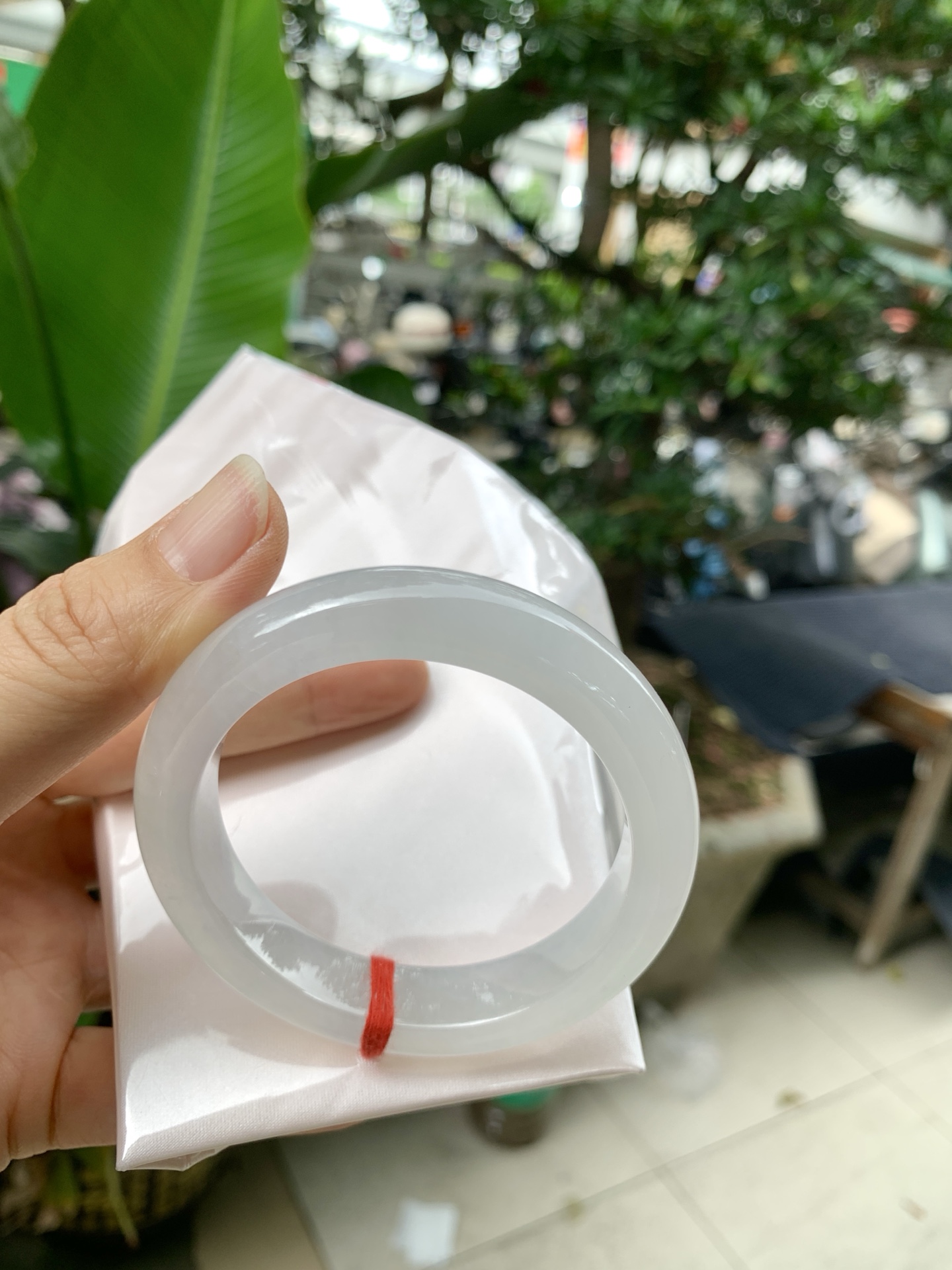 k032-2冰正圈：53.3-12-8.9冰透起光