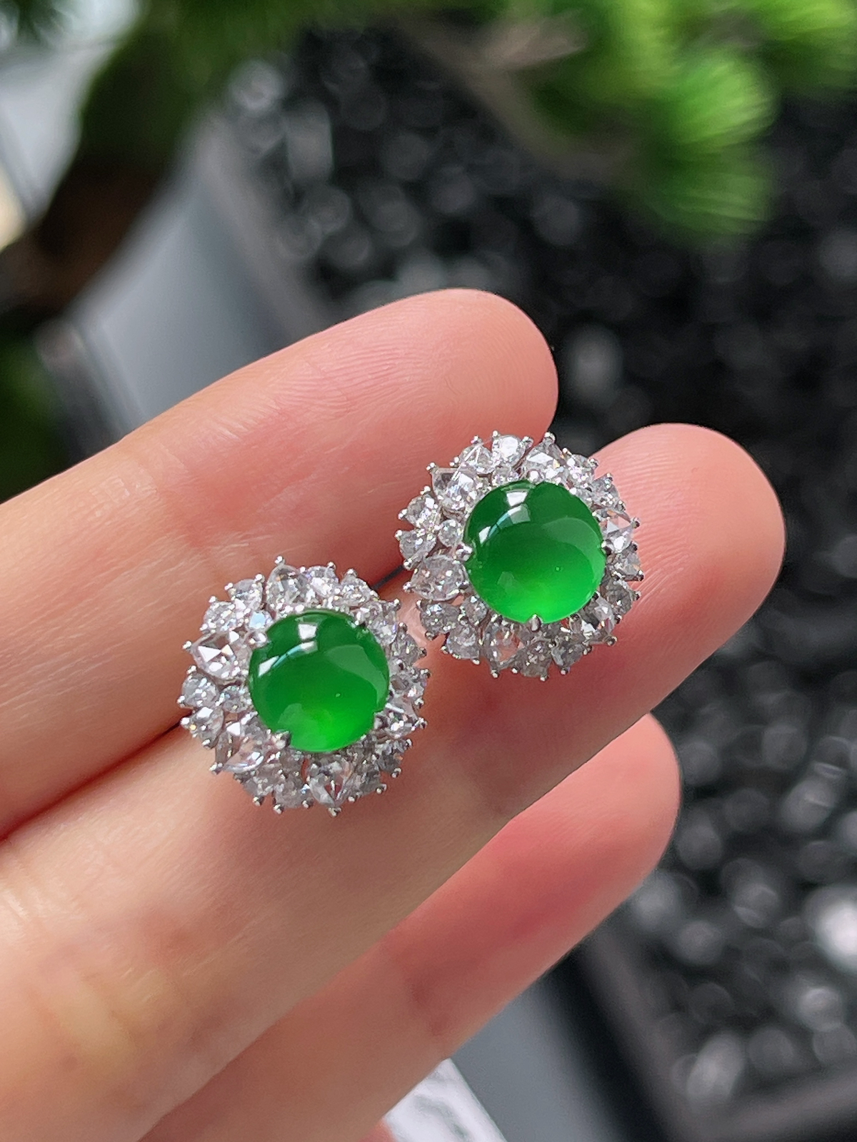 18k金 翡翠冰种满绿耳钉