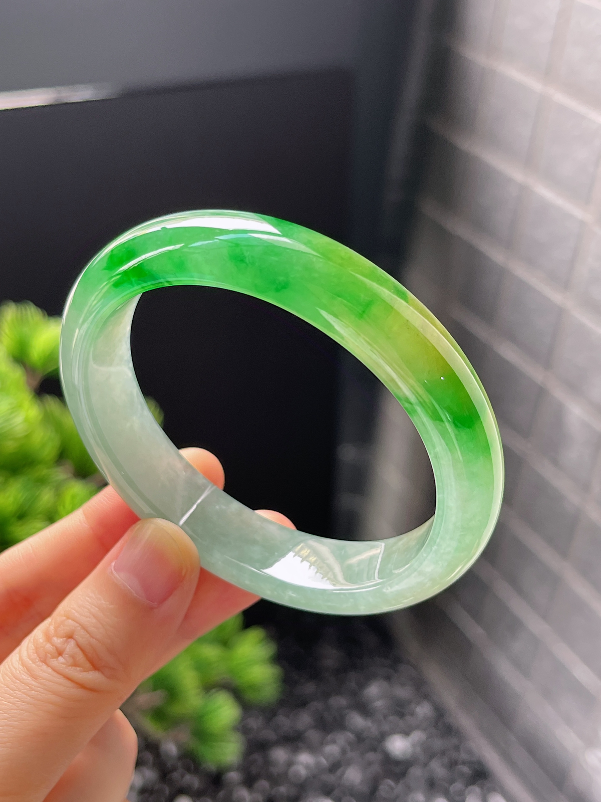 贵妃镯55.1圈口，翡翠冰糯种黄加绿手镯