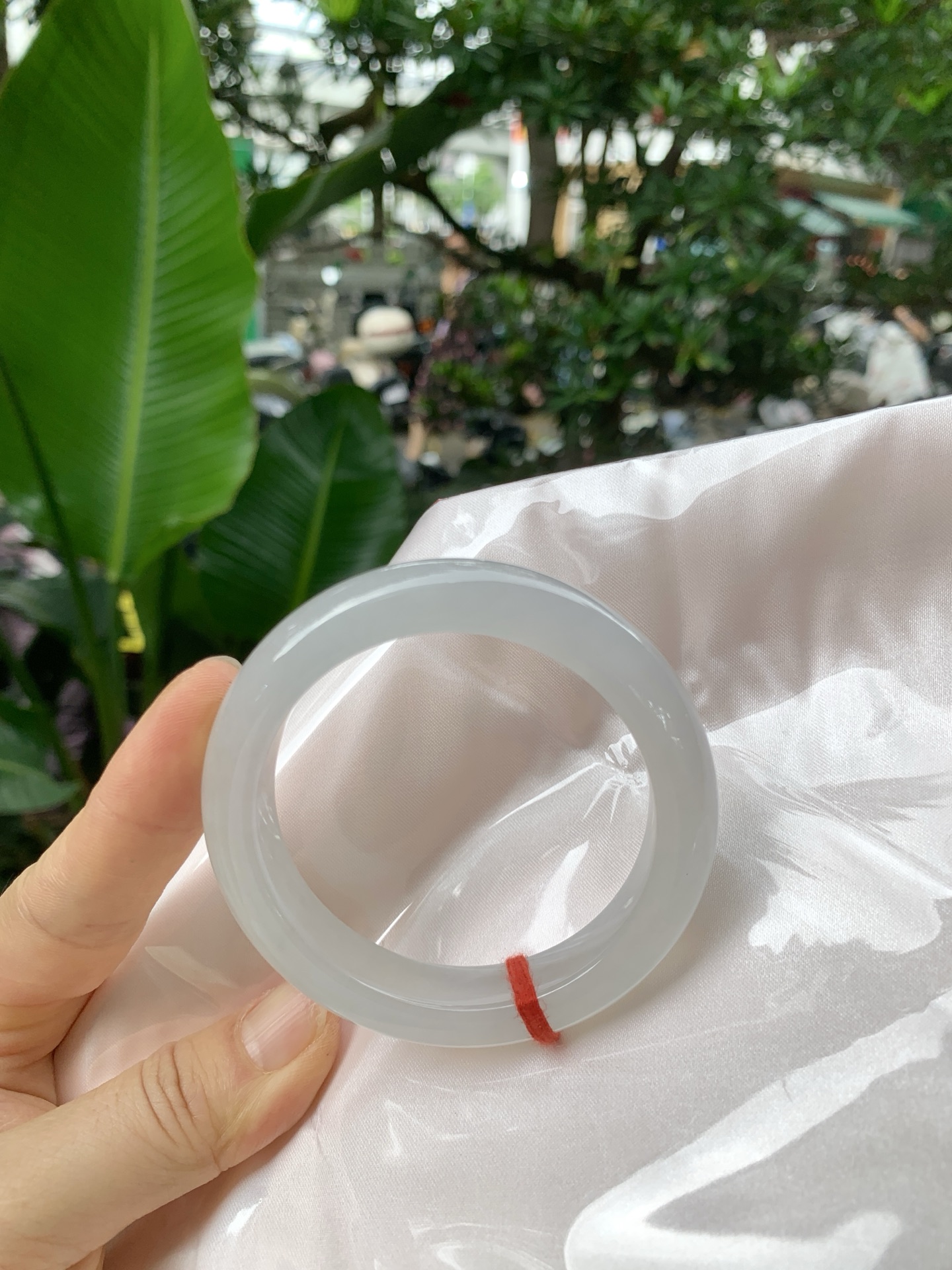 k032-2冰正圈：53.3-12-8.9冰透起光