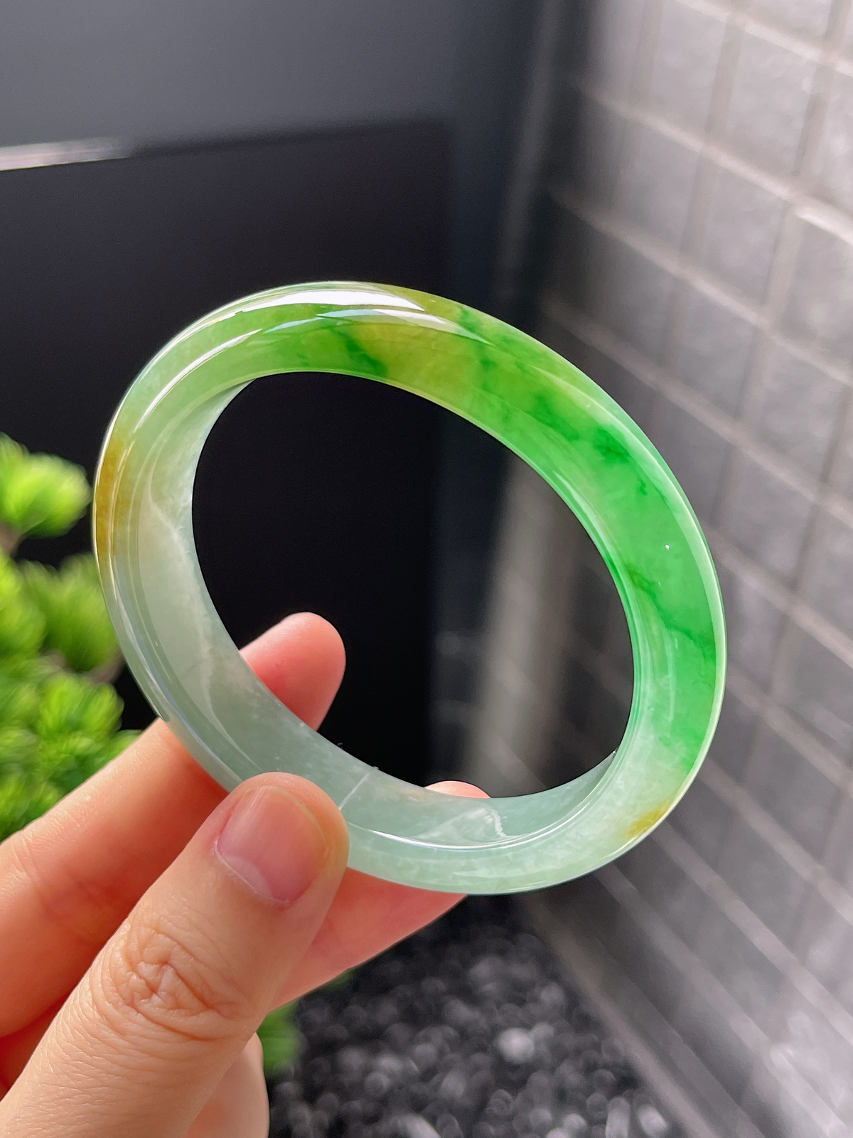 贵妃镯55.1圈口，翡翠冰糯种黄加绿手镯