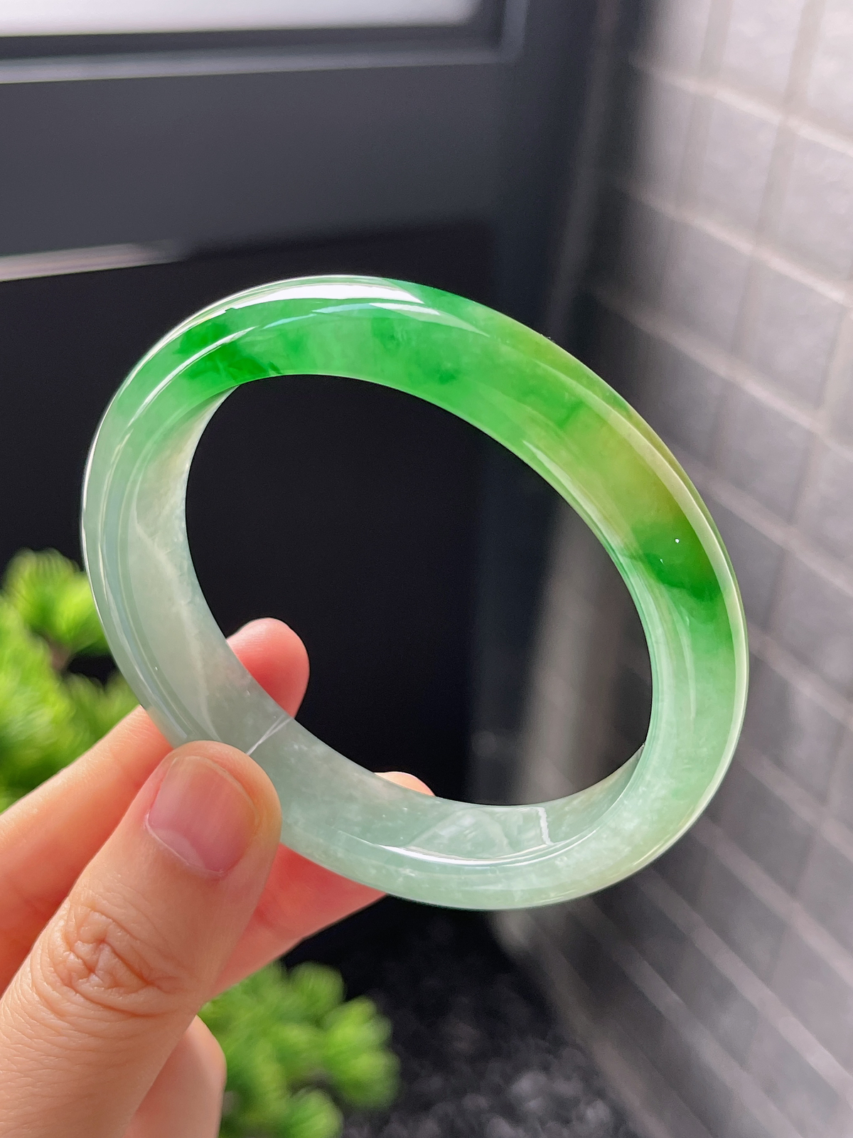 贵妃镯55.1圈口，翡翠冰糯种黄加绿手镯