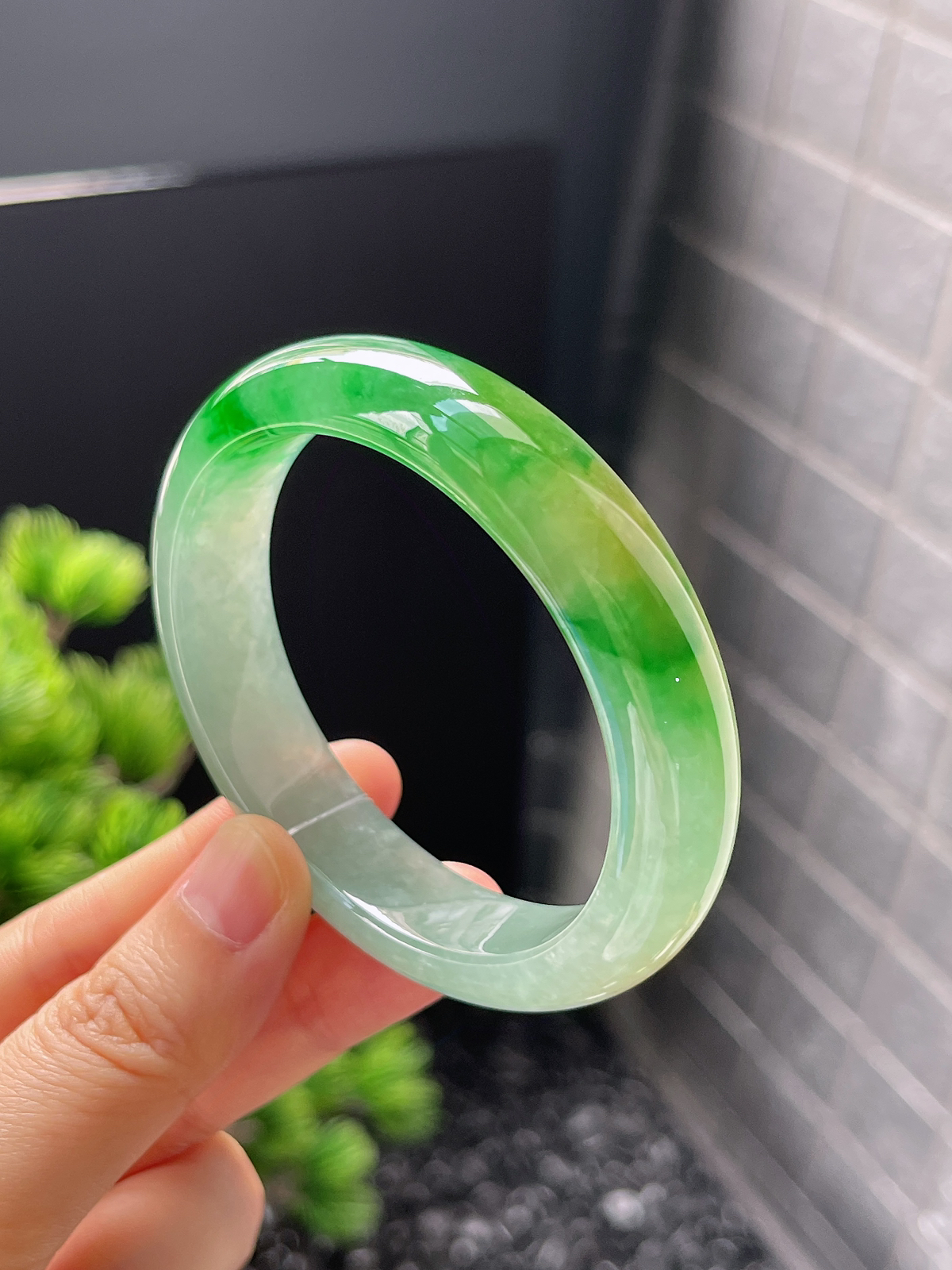 贵妃镯55.1圈口，翡翠冰糯种黄加绿手镯