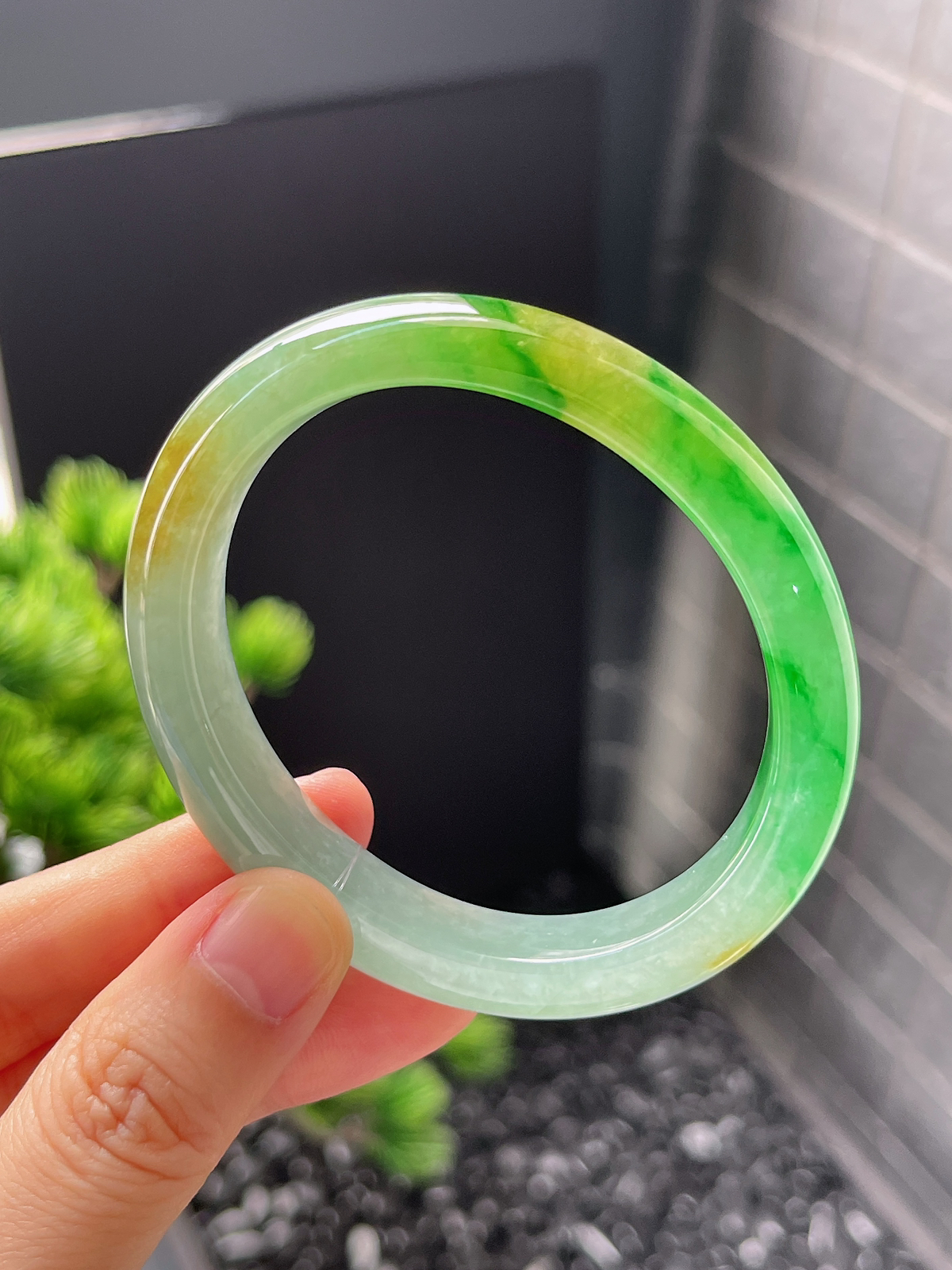 贵妃镯55.1圈口，翡翠冰糯种黄加绿手镯