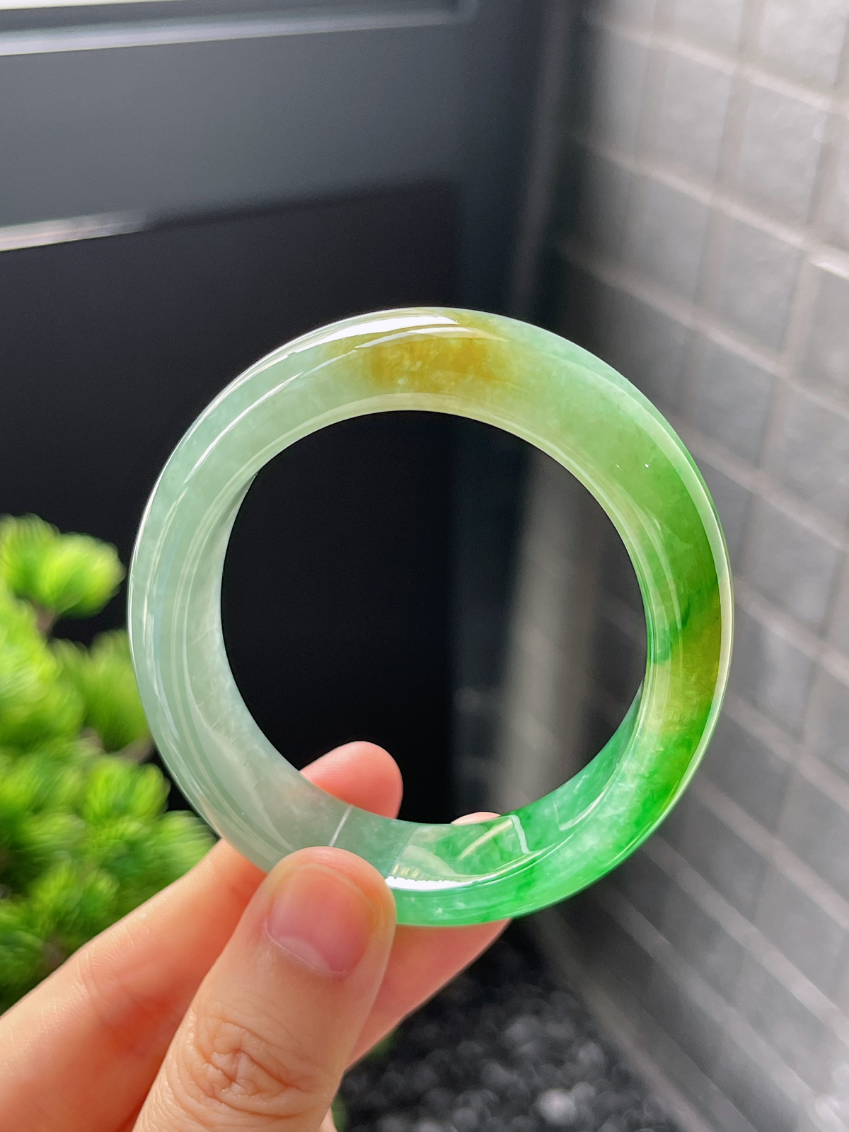 贵妃镯55.1圈口，翡翠冰糯种黄加绿手镯