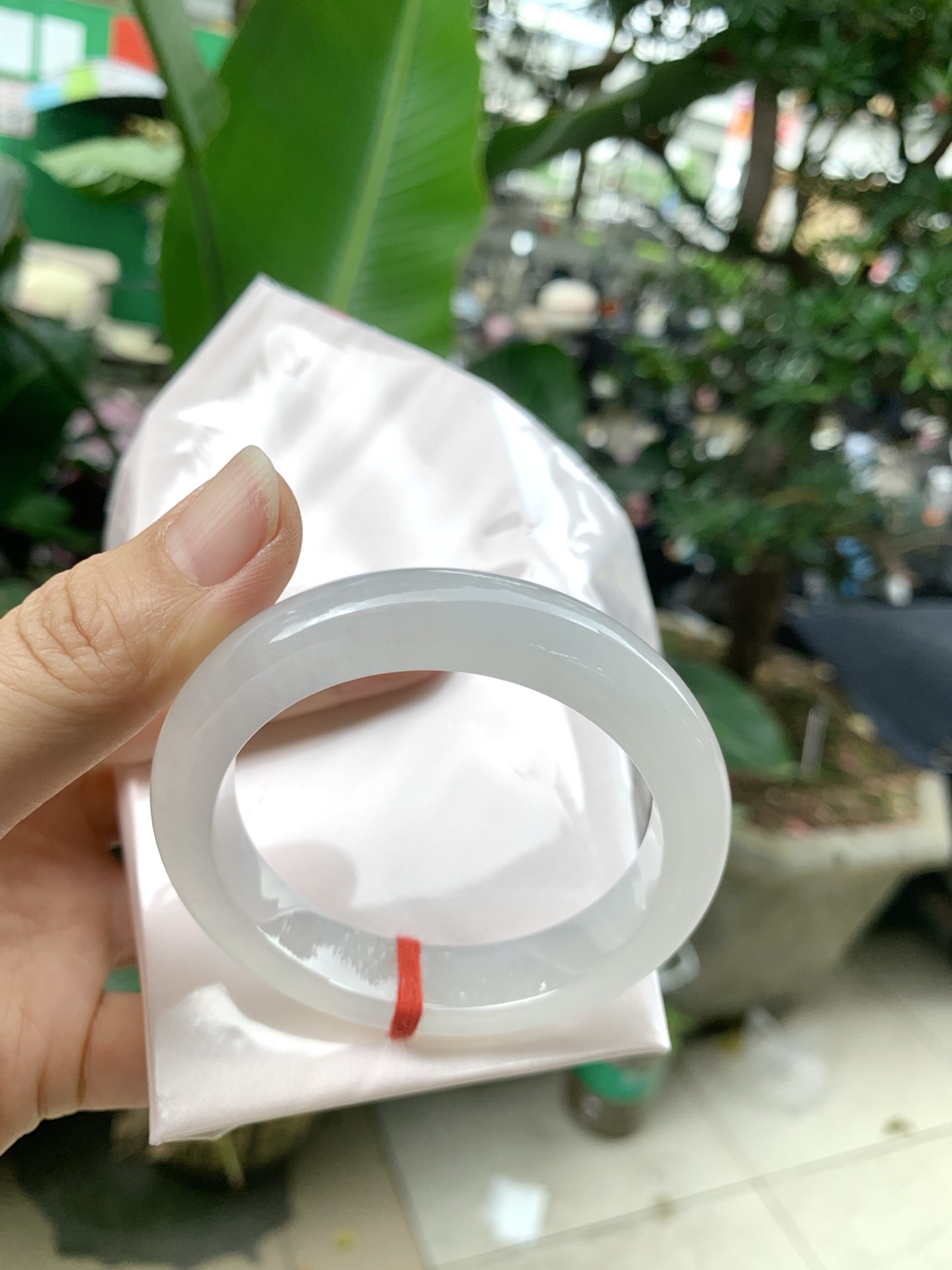 k032-2冰正圈：53.3-12-8.9冰透起光