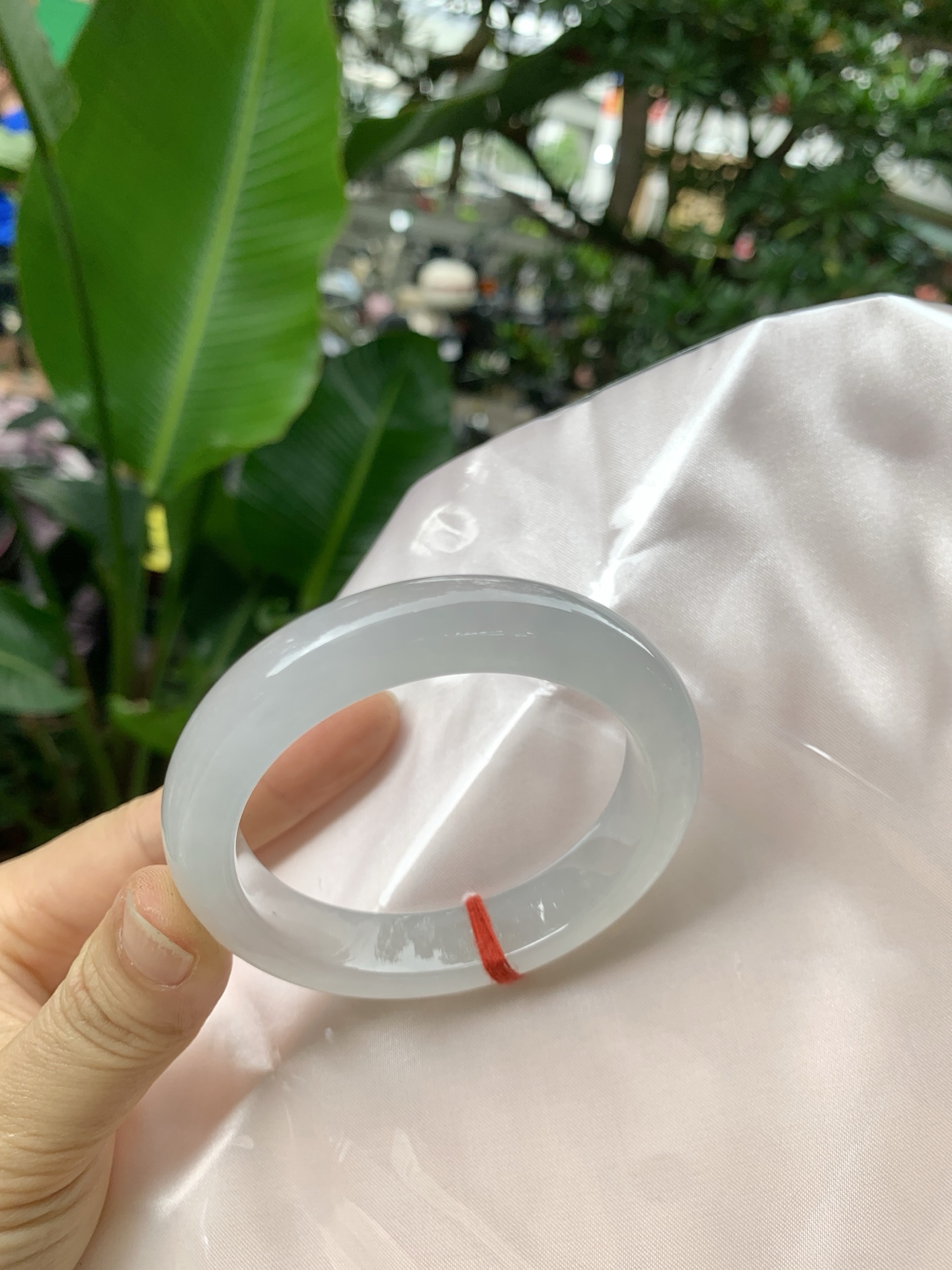 k032-2冰正圈：53.3-12-8.9冰透起光