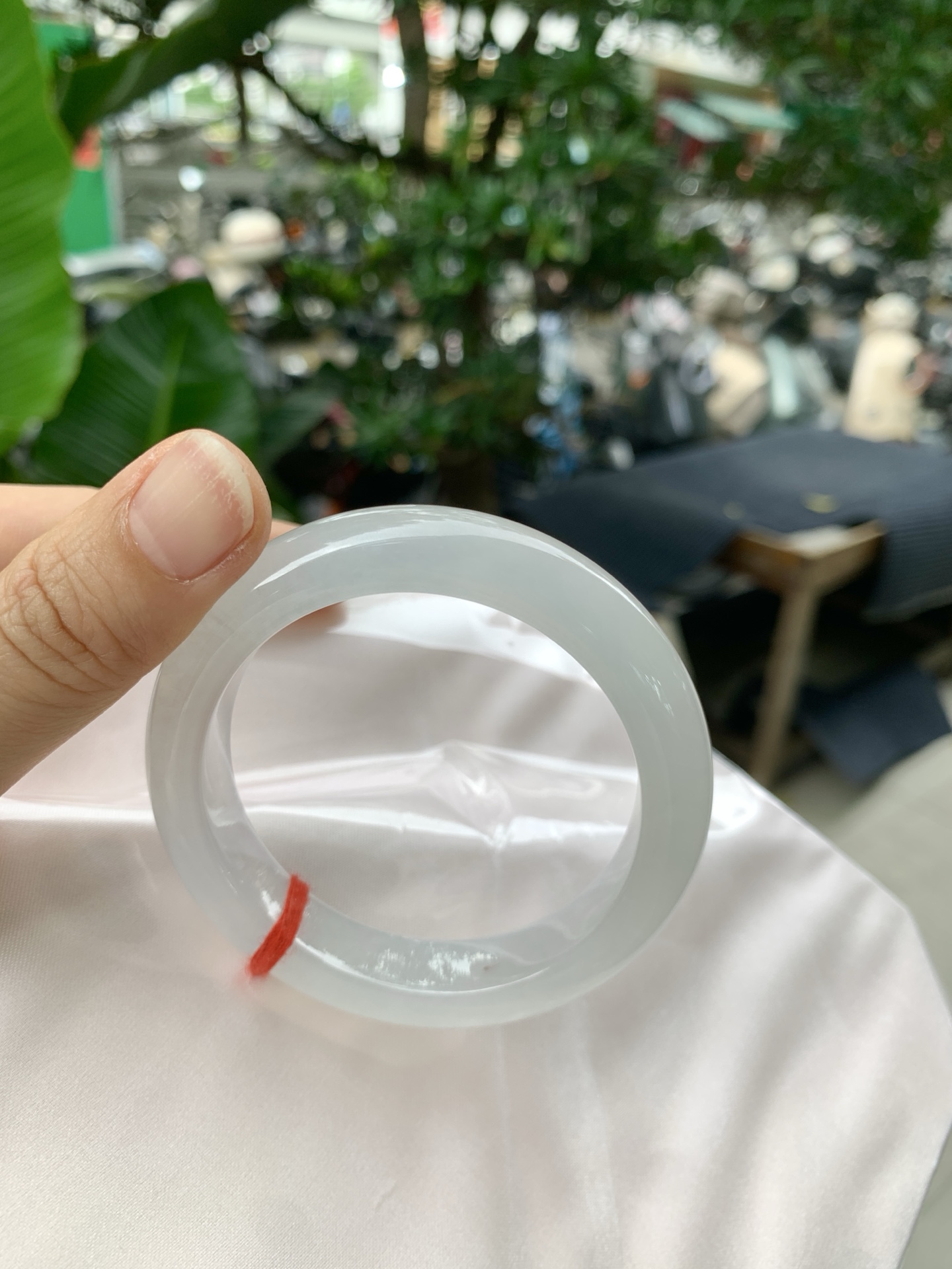 k032-2冰正圈：53.3-12-8.9冰透起光