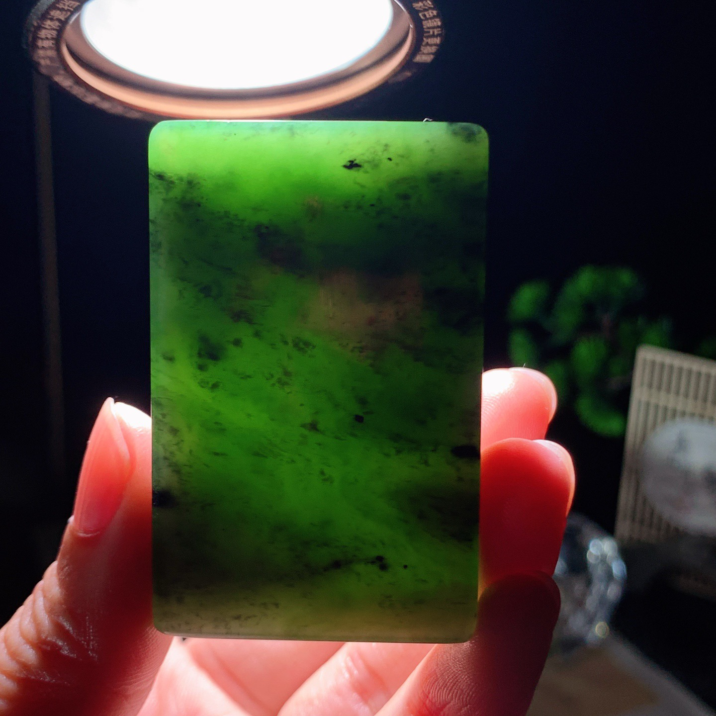 和田玉阳绿俄罗斯碧玉平安无事牌挂件 尺寸56/35/12重71.5克，玉质细腻油润 底色纯净 脂粉好，品质好！lt260415