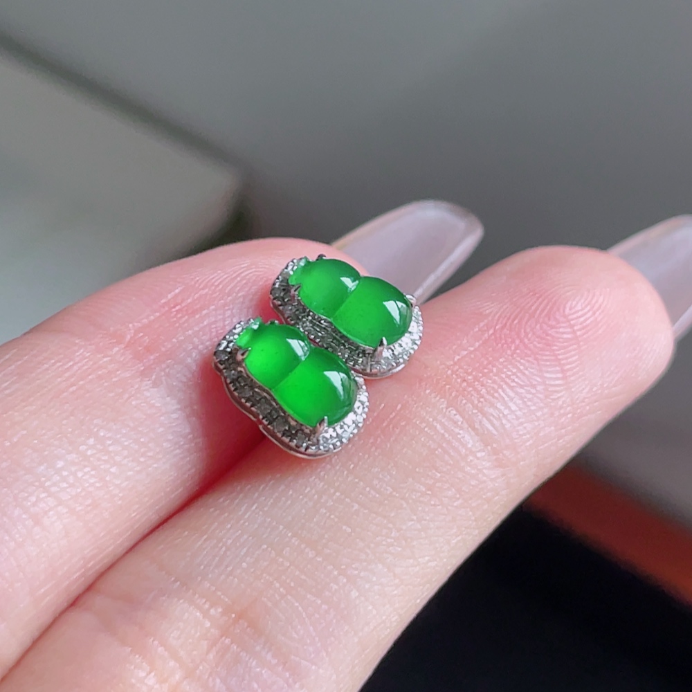 ️ 冰阳绿葫芦耳钉 色泽鲜艳 种老水润 18k金镶嵌 整体 9.7/6.7 裸石 7.9/4.9