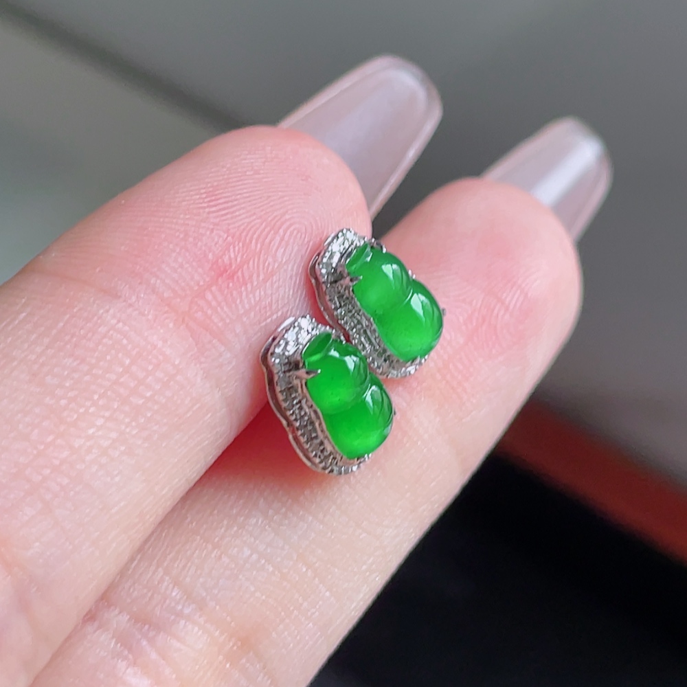 ️ 冰阳绿葫芦耳钉 色泽鲜艳 种老水润 18k金镶嵌 整体 9.7/6.7 裸石 7.9/4.9