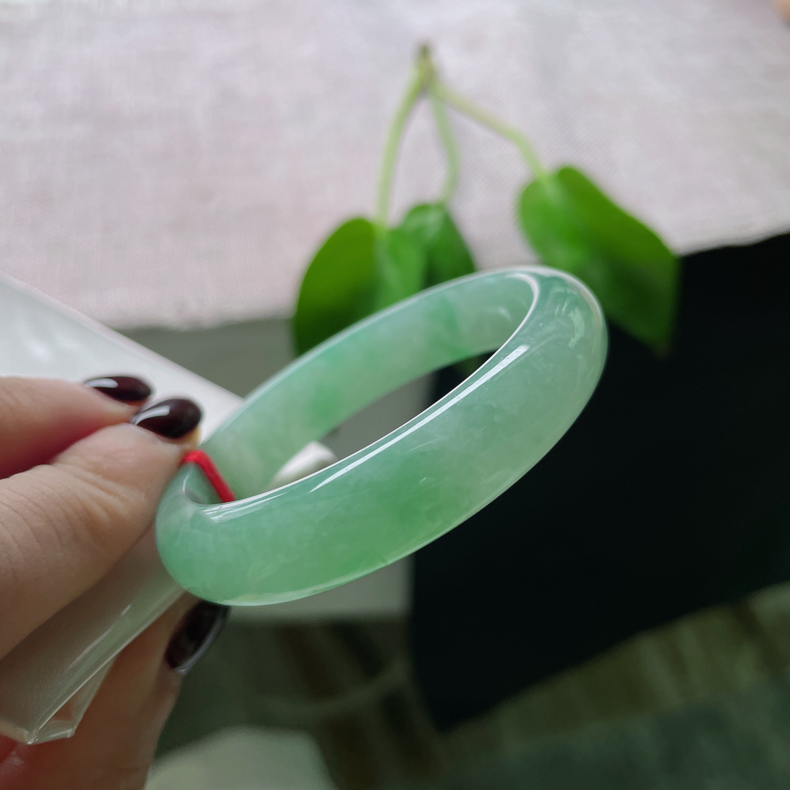 52（46.7）/11.6/6.7，满绿贵妃，俏丽若三春之桃，瑰姿艳逸，种老..