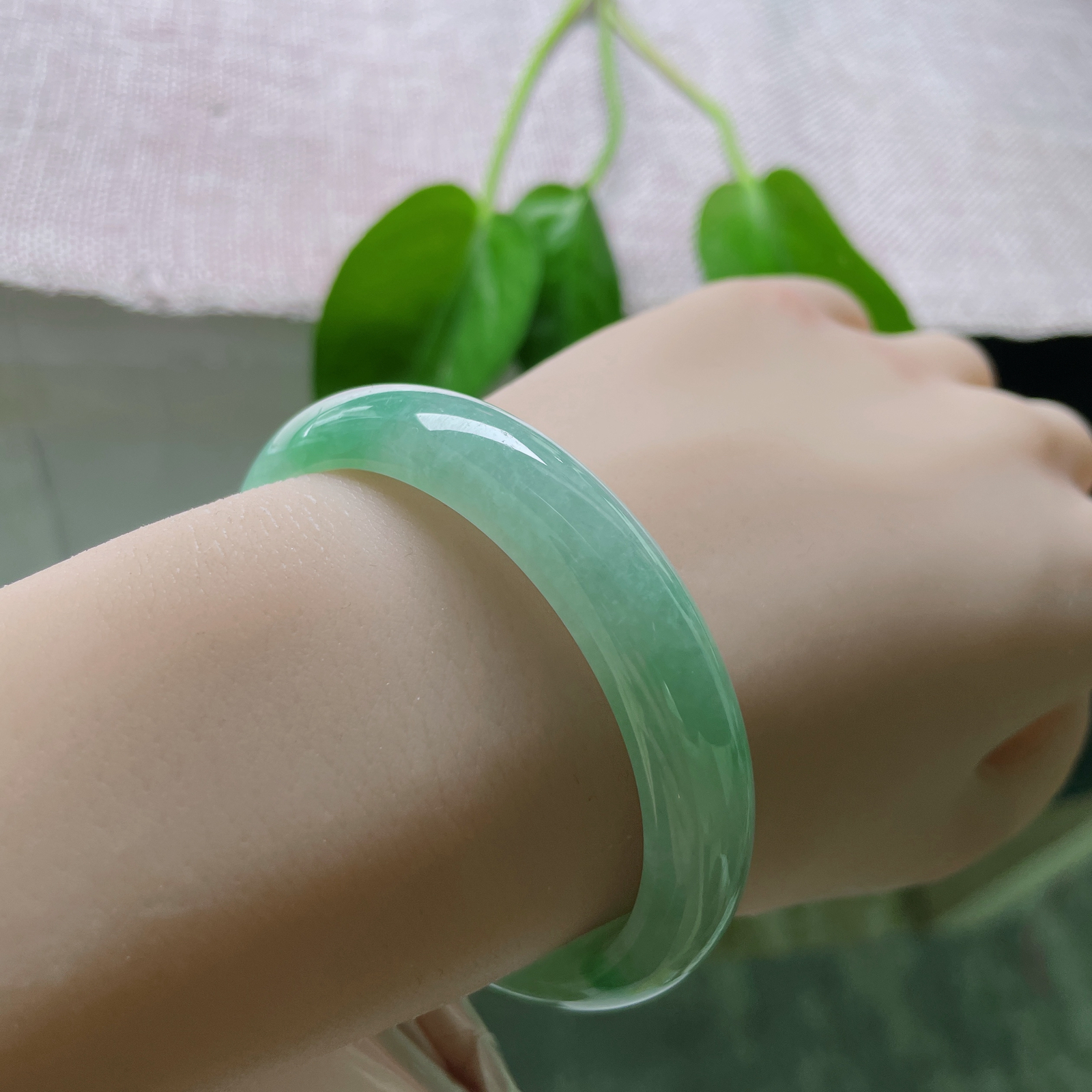 52（46.7）/11.6/6.7，满绿贵妃，俏丽若三春之桃，瑰姿艳逸，种老..