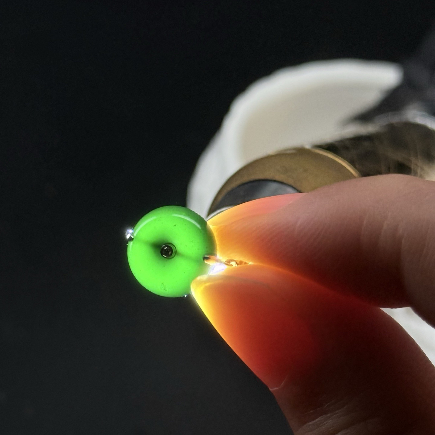 精品18k墨翠平安扣耳坠 种好色正 黑度极好 打灯通透 油性十足 尺寸10