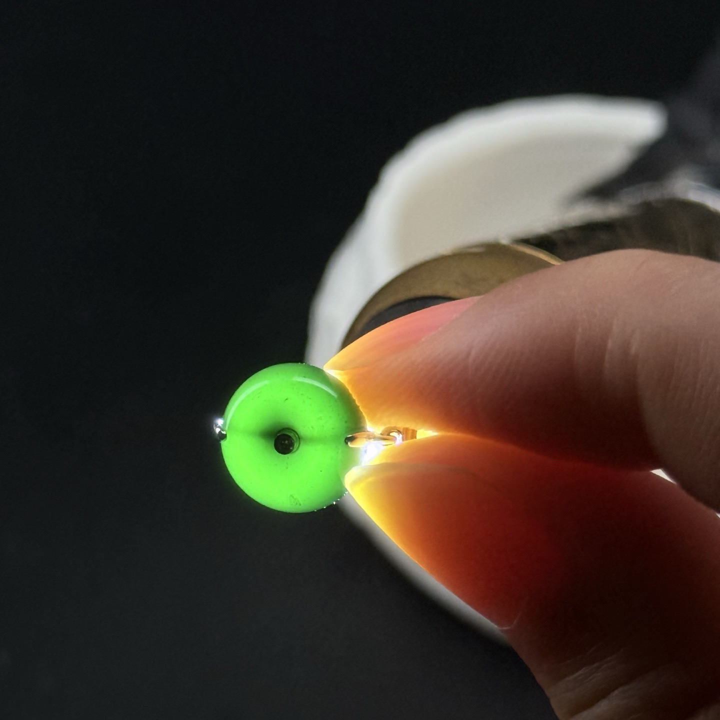 精品18k墨翠平安扣耳坠 种好色正 黑度极好 打灯通透 油性十足 尺寸10