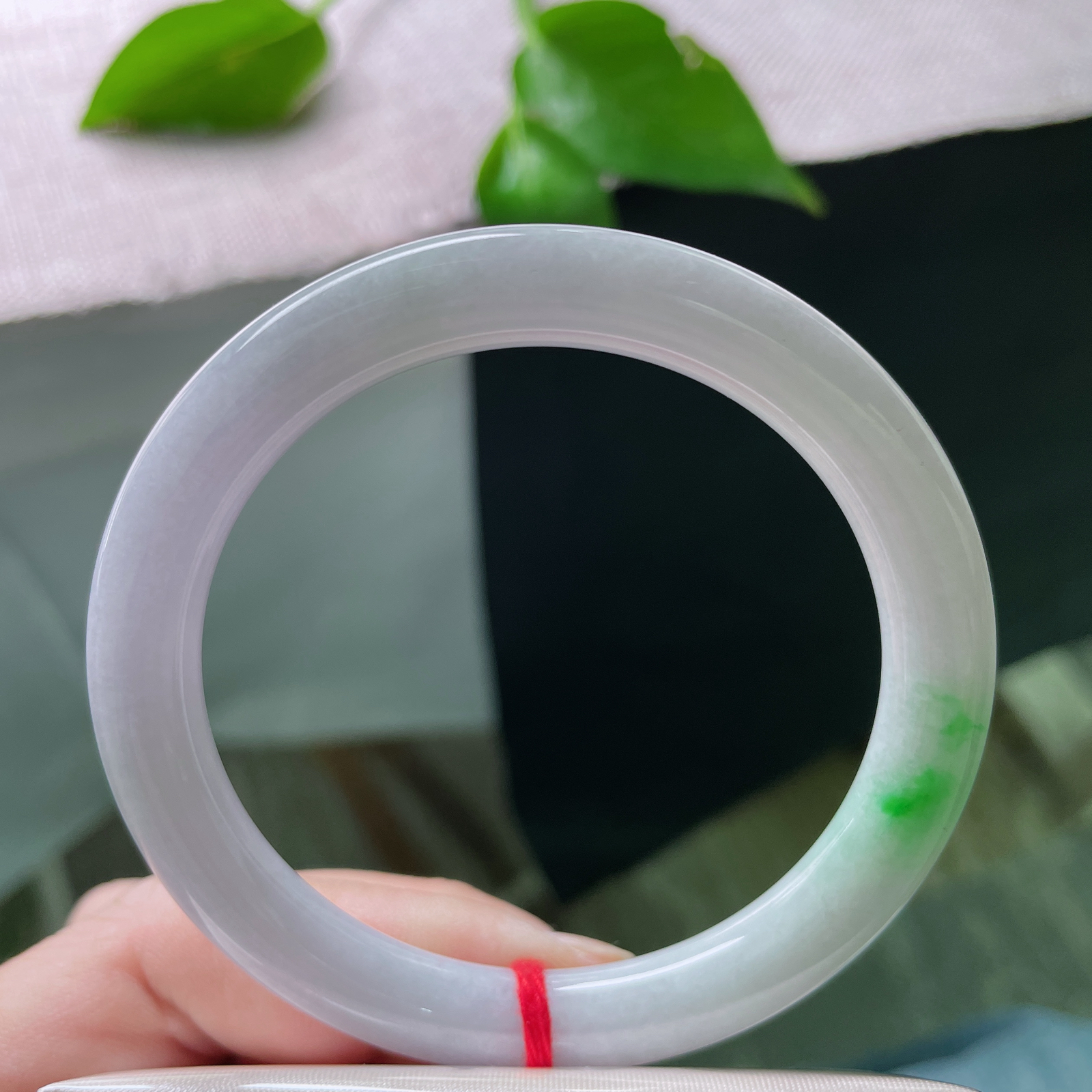 56/8.4紫罗兰圆条，阳绿点缀，俏丽多姿，水润细腻，棉线纹..