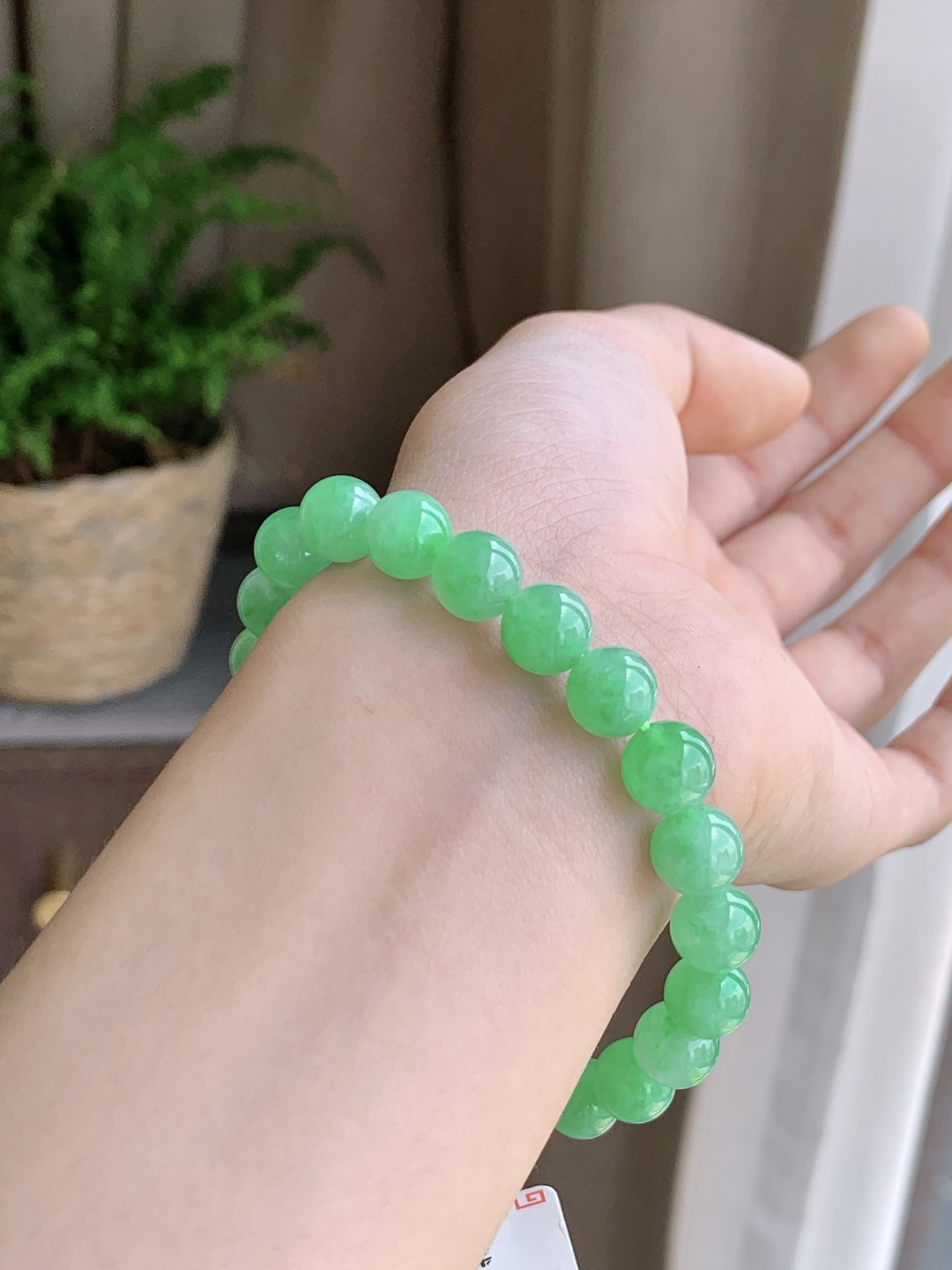 【珠子】阳绿手串圆珠子手串【说明】缅甸 性比高  【尺寸】8.4-8.1mm【重量】23.7克