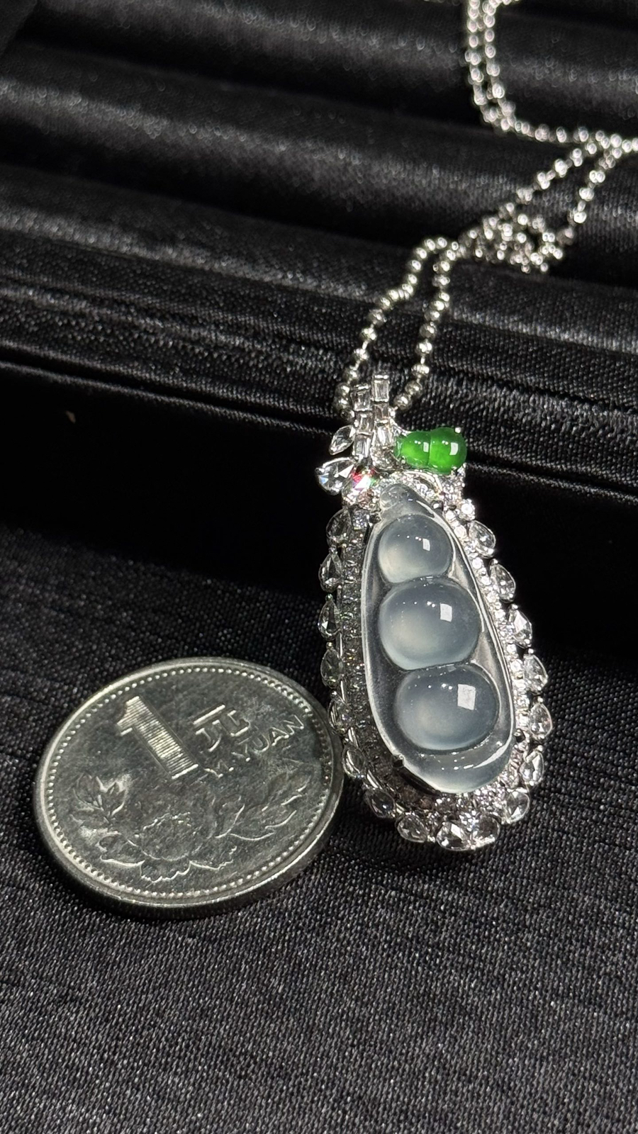 冰种福豆，福气满满~