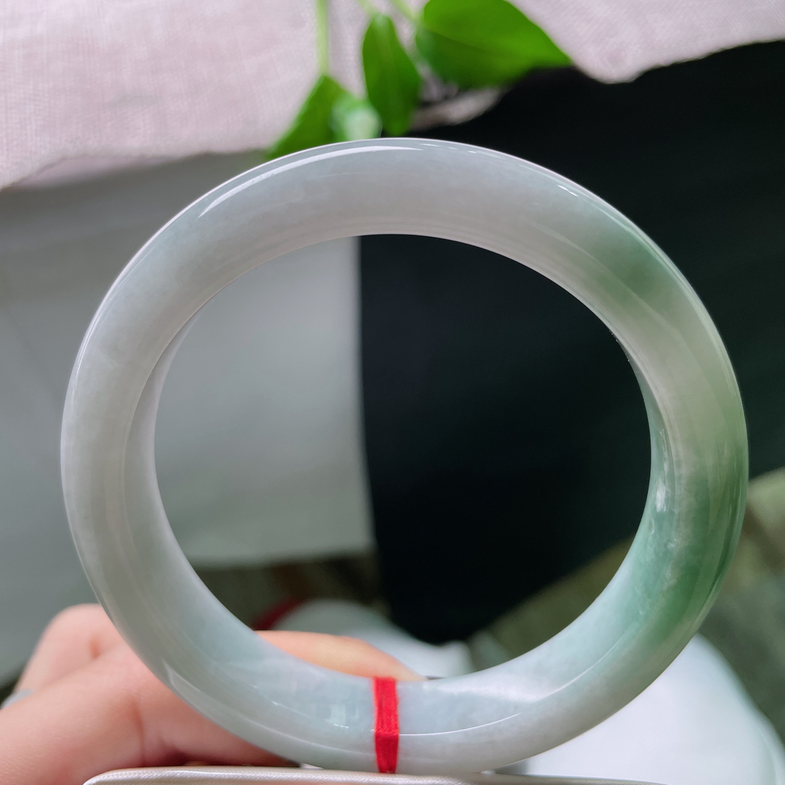 60.2/11.9/9.2油青正圈，水润细腻，悠闲自在，婉间风华..