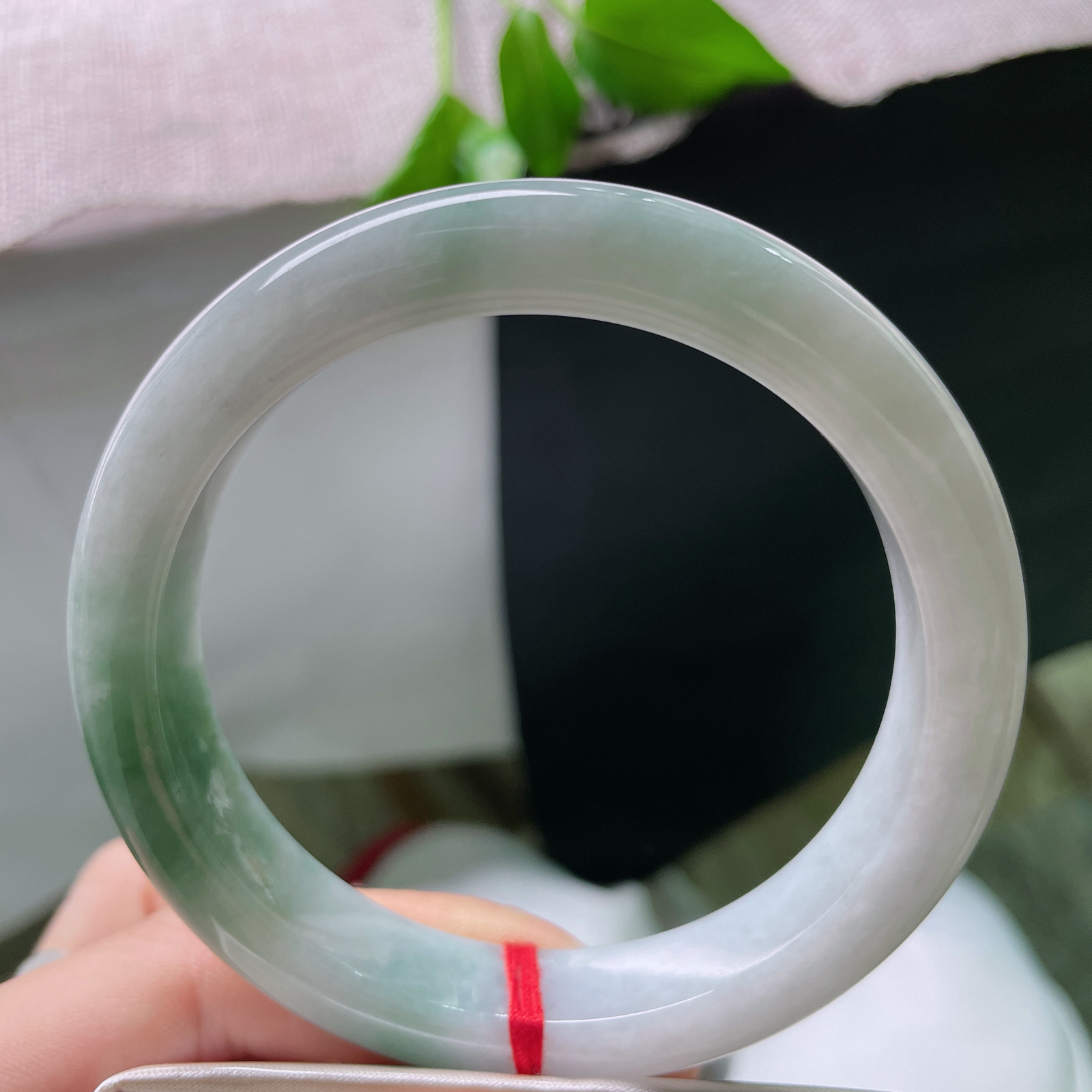 60.2/11.9/9.2油青正圈，水润细腻，悠闲自在，婉间风华..