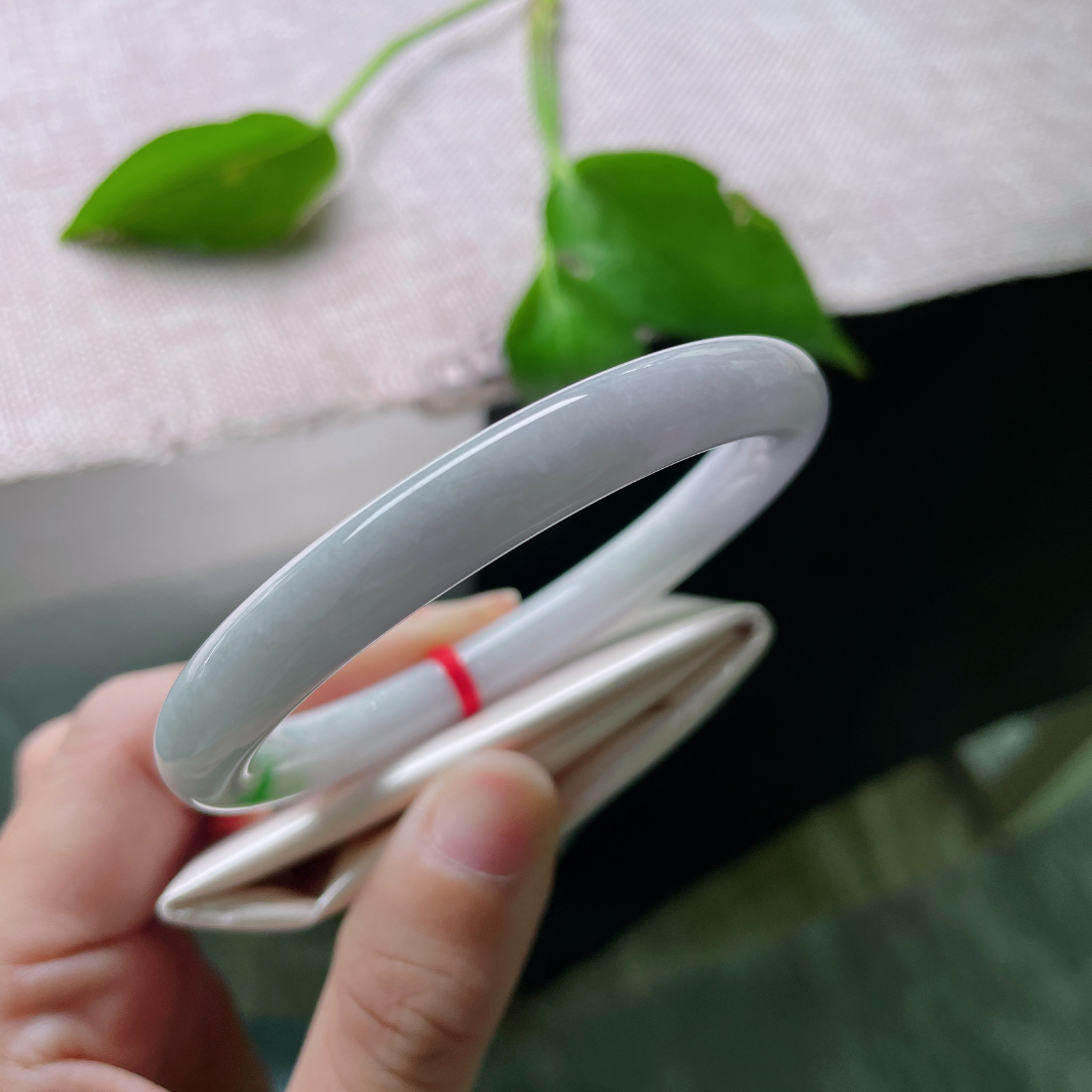 56/8.4紫罗兰圆条，阳绿点缀，俏丽多姿，水润细腻，棉线纹..