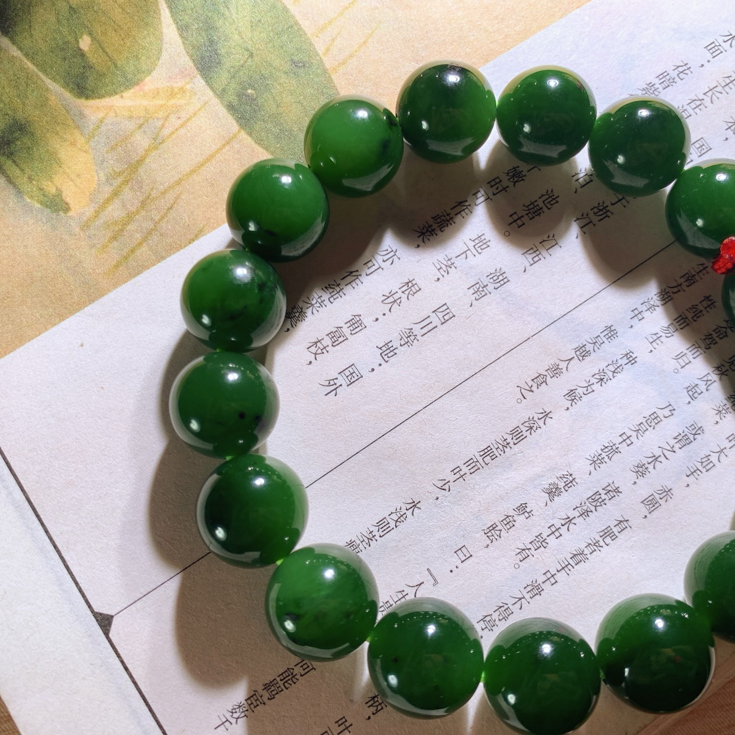 和田玉红皮料菠菜绿俄罗斯碧玉手串 单颗尺寸12！玉质细腻油润。手推出油。佩戴高端典雅。lt260418