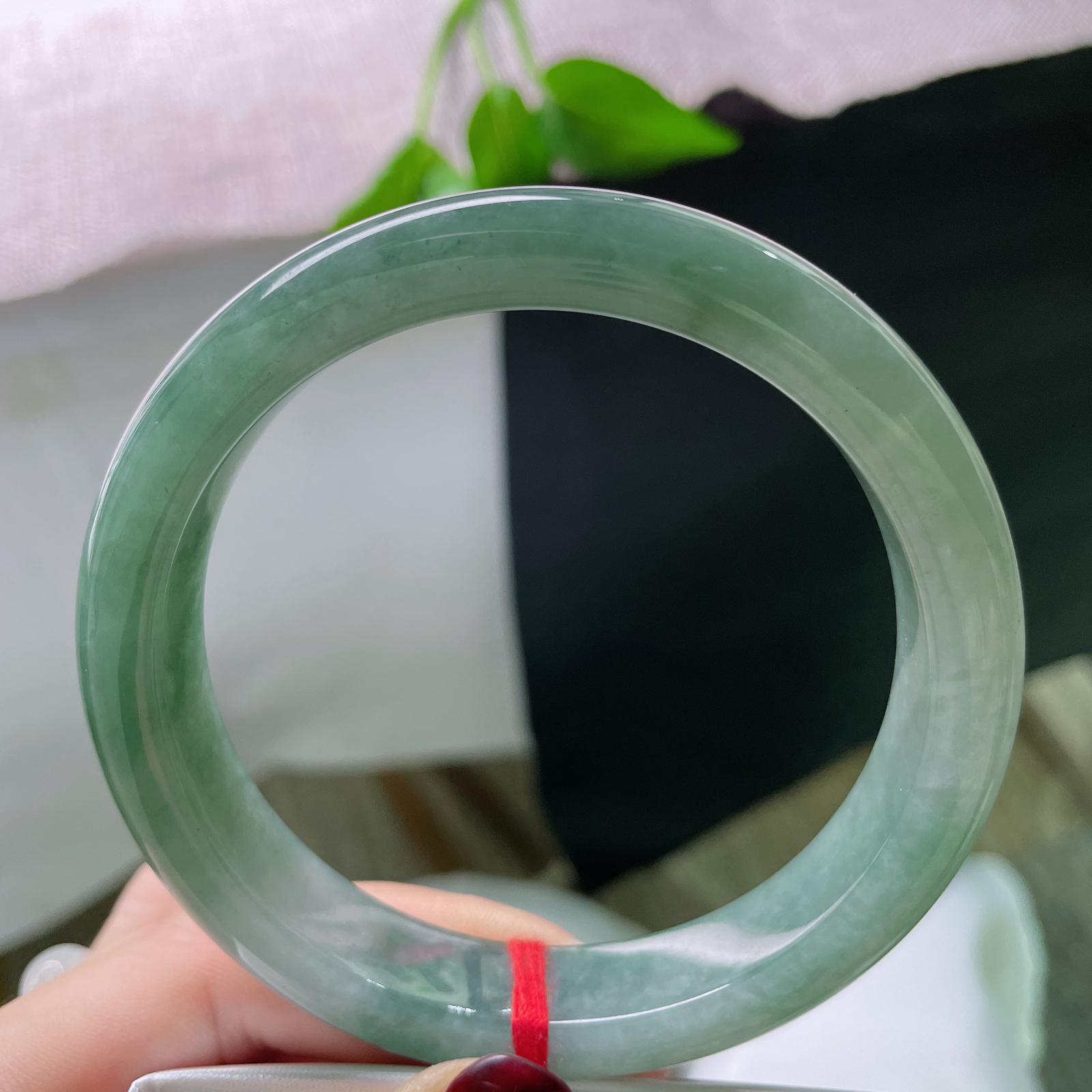 62.9/12.1/9油绿正圈，细腻，油润种老，沉稳贵气..