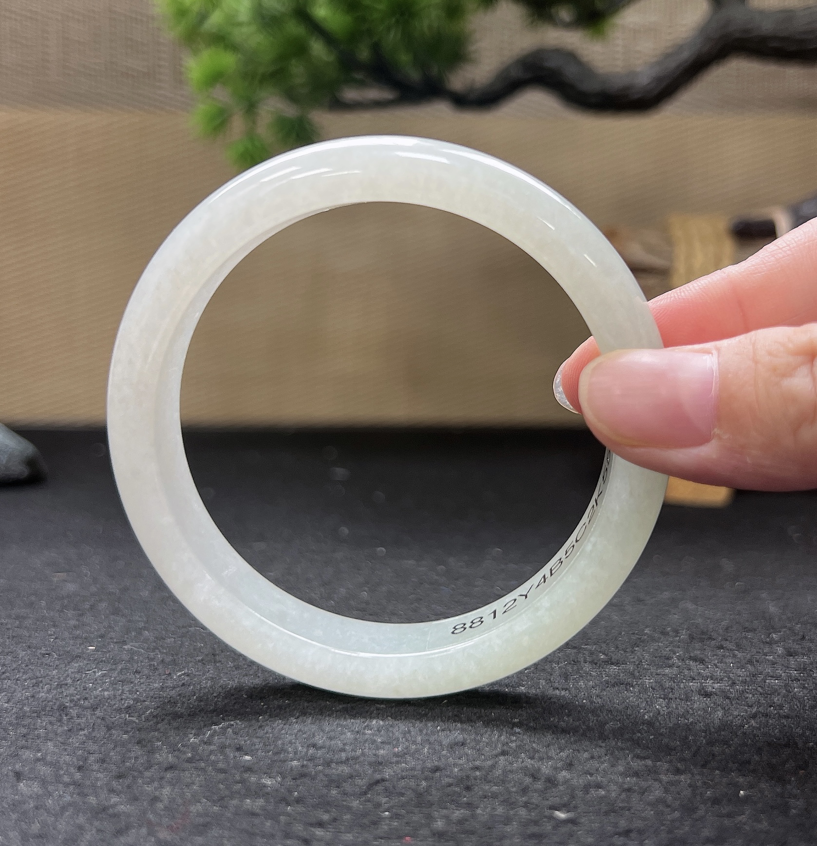 59圈口正圈白月光手镯