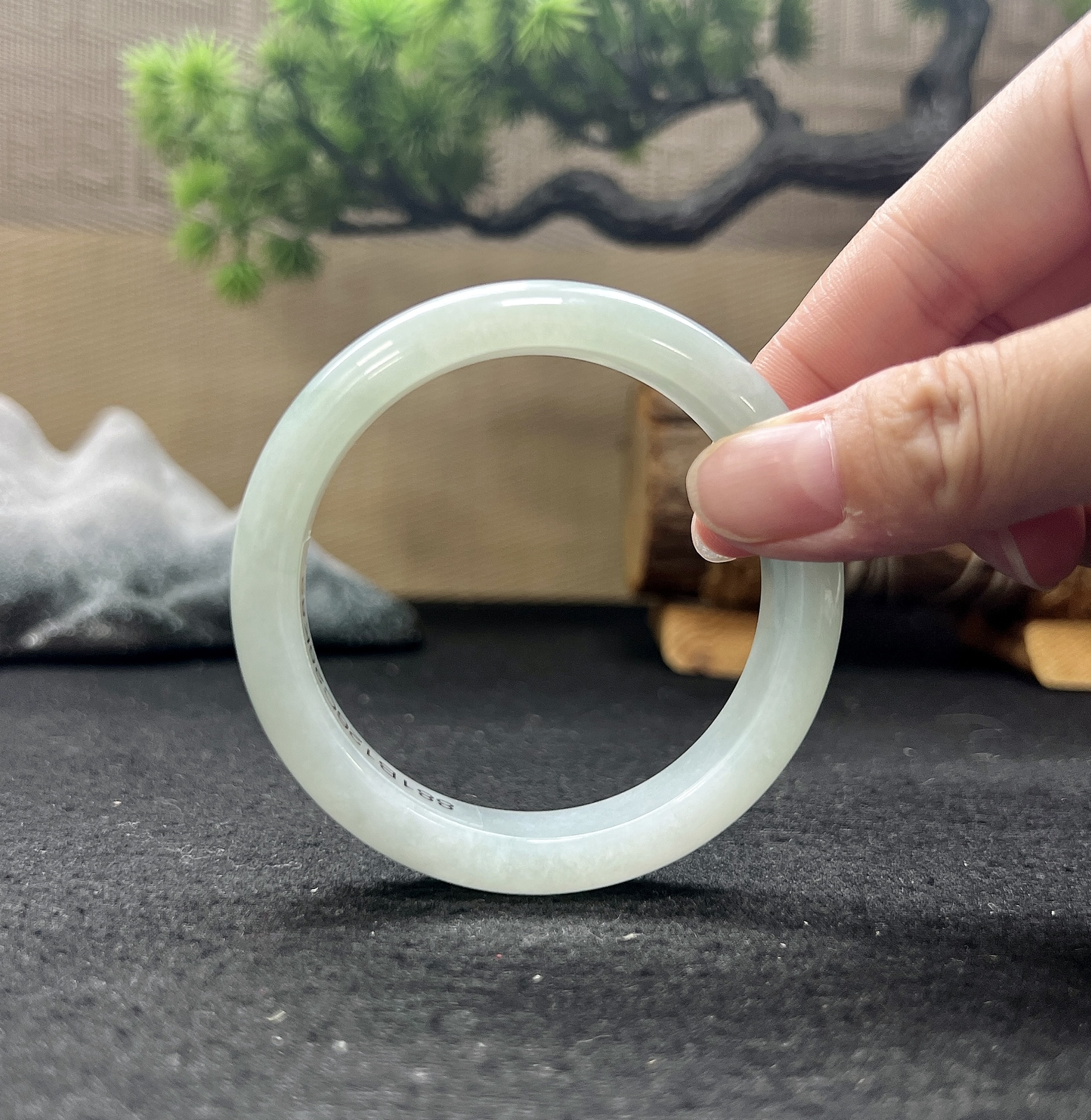 54圈口正圈白月光