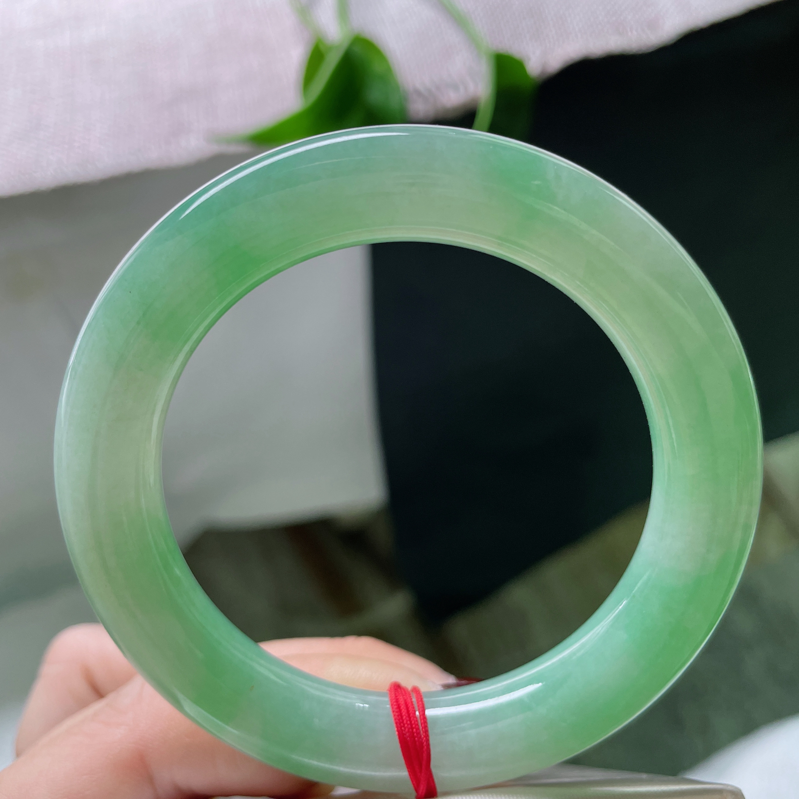 54.8/10.8，绿底圆条，珠圆玉润，柔亮，闲静时如娇花照水，行动处似弱柳扶风。ss49431a.