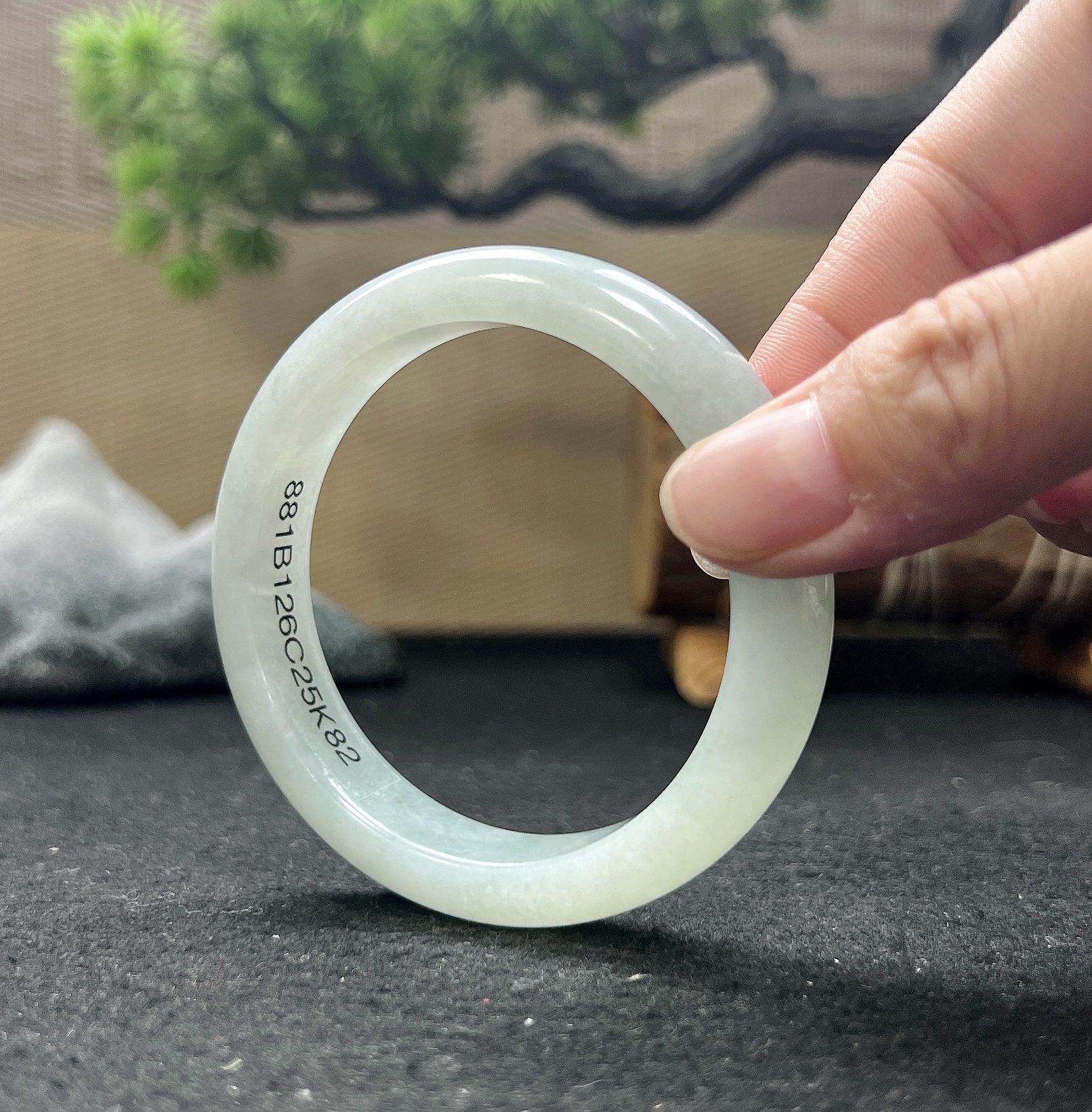 54圈口正圈白月光