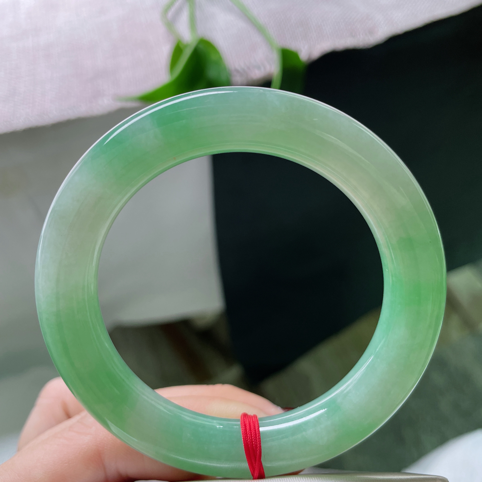 54.8/10.8，绿底圆条，珠圆玉润，柔亮，闲静时如娇花照水，行动处似弱柳扶风。ss49431a..