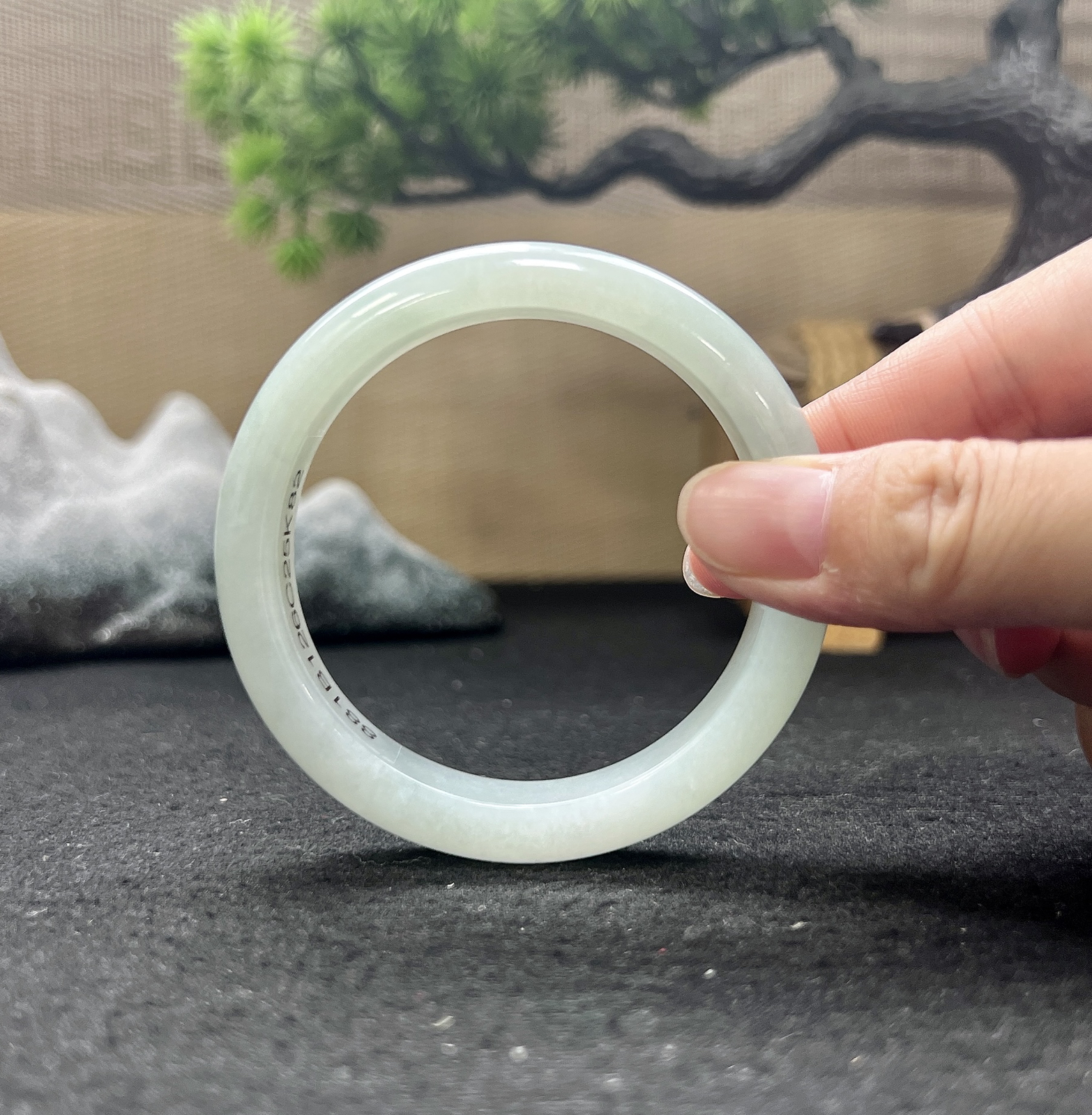 54圈口正圈白月光