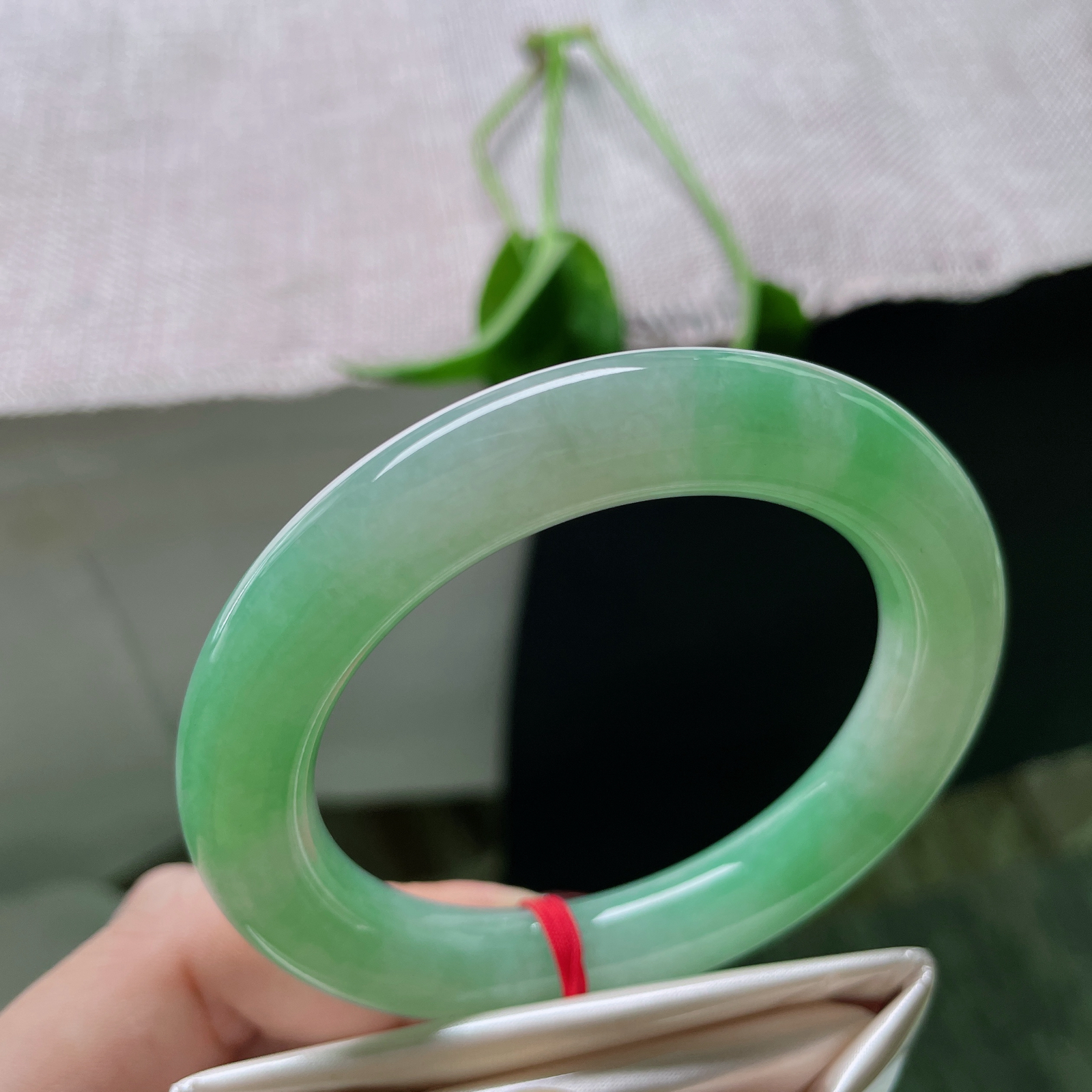 54.8/10.8，绿底圆条，珠圆玉润，柔亮，闲静时如娇花照水，行动处似弱柳扶风。ss49431a..