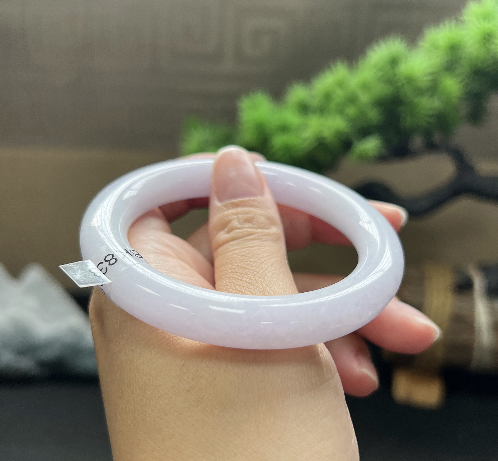 53圈口圆条紫罗兰，见光不失色，底妆胶润细腻~