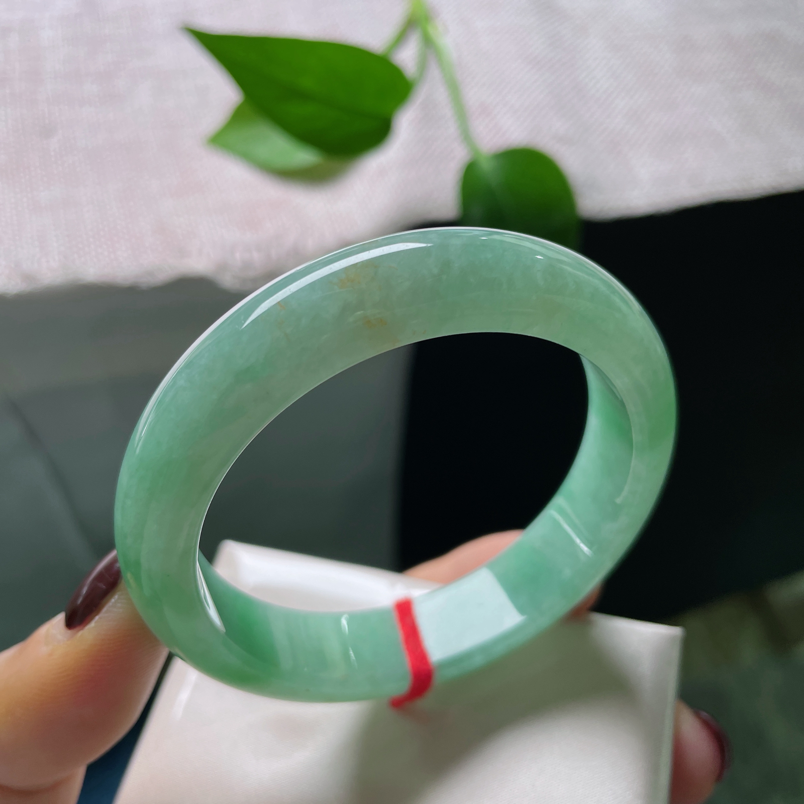 53/12.7/7.9，绿底正圈，像初夏清晨，沾着露珠的天鹅绒叶片，那种厚重又柔软的颜色。洒金，皮纹，ss51654a..