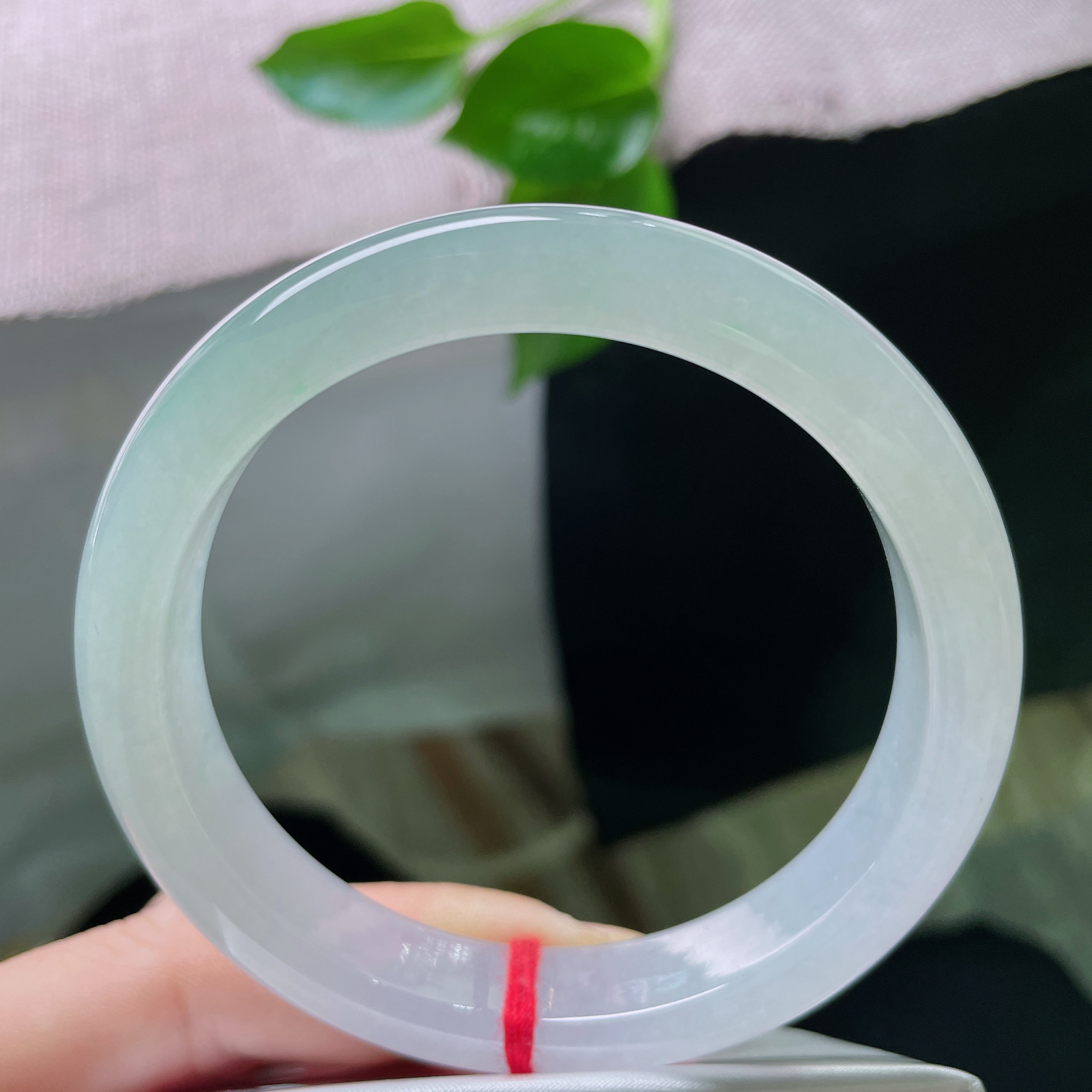 59.5/12.2/8.5冰春彩正圈，冰润细腻，渐变之色，晶莹剔透，清雅，贵气..