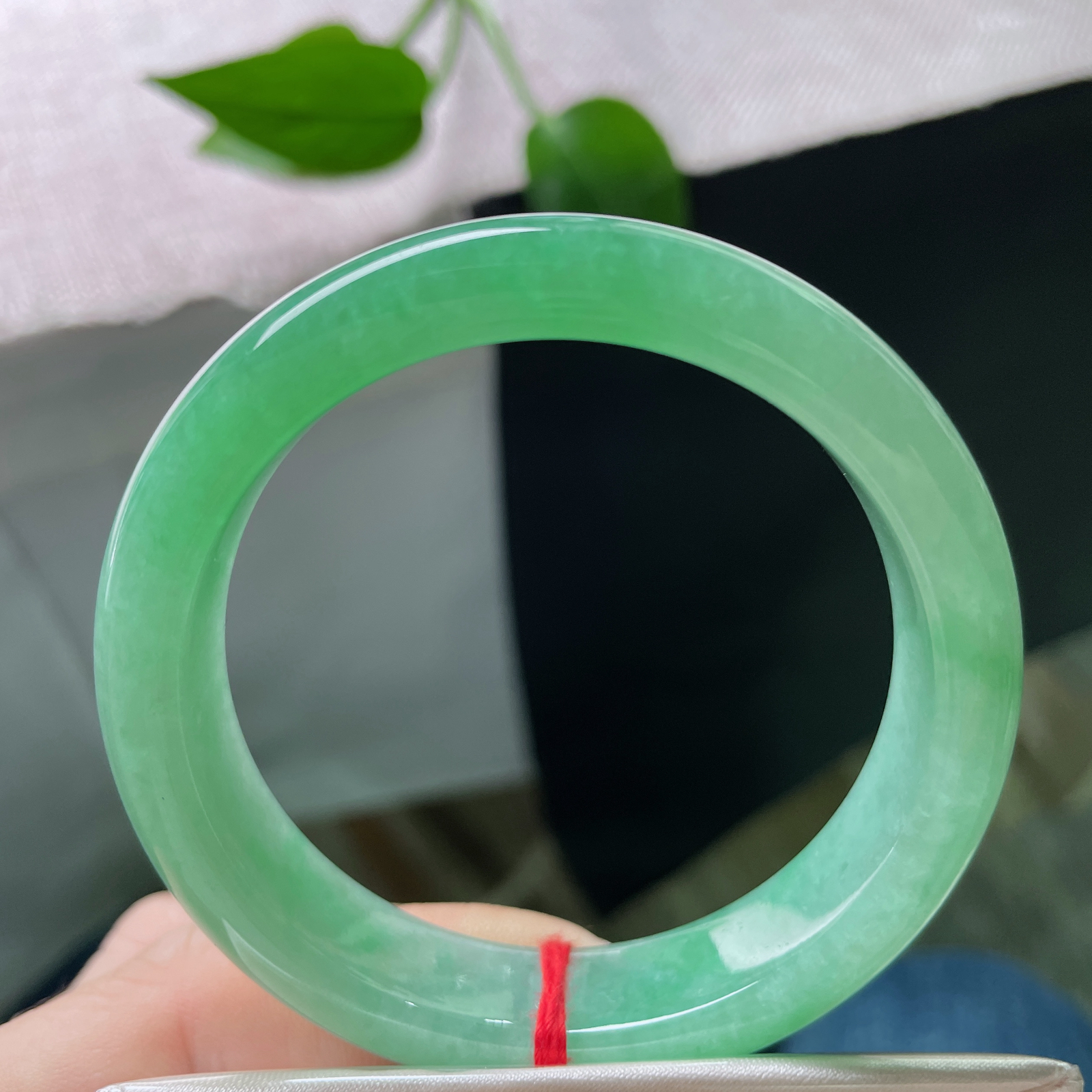 54.1/12.7/7.9绿底正圈，种老，春光无限，一抬手遍惊艳了时光，ss51676a..