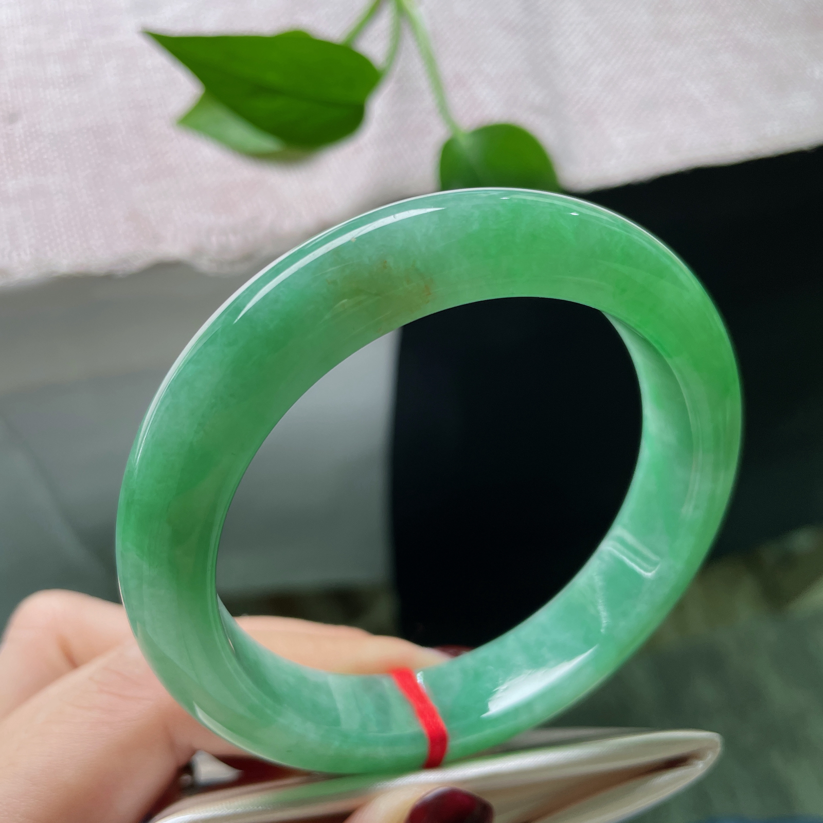 59/12.6/9.1，绿底正圈，种老，细润，世间斑斓，唯此绝色。洒金，ss51689a..