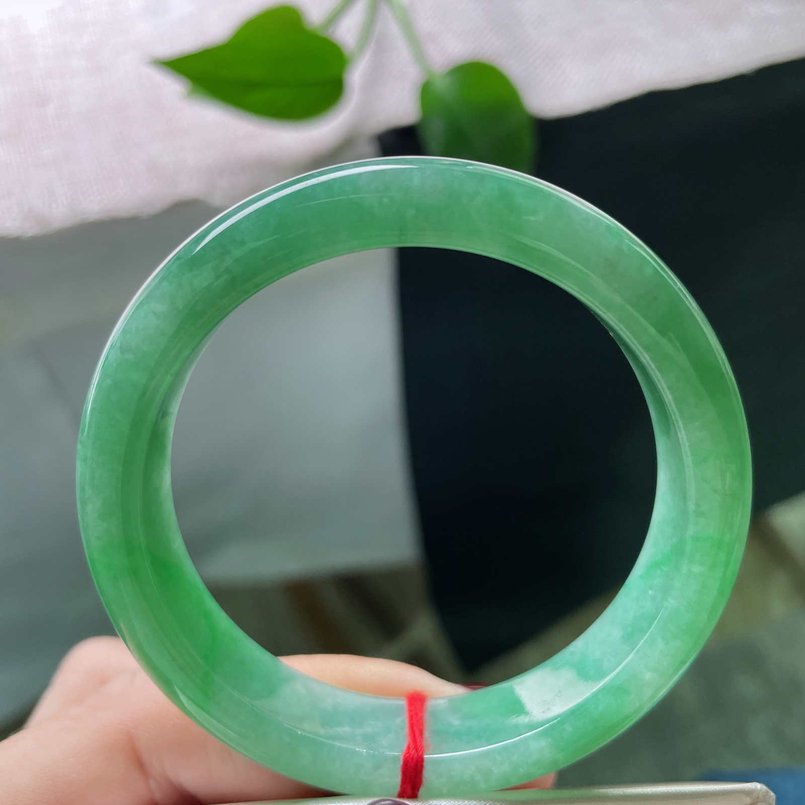 54.5/12.5/8.1，绿底正圈，水润，瑰姿艳逸，万古长青，经典永不过时，皮纹，ss51694a..